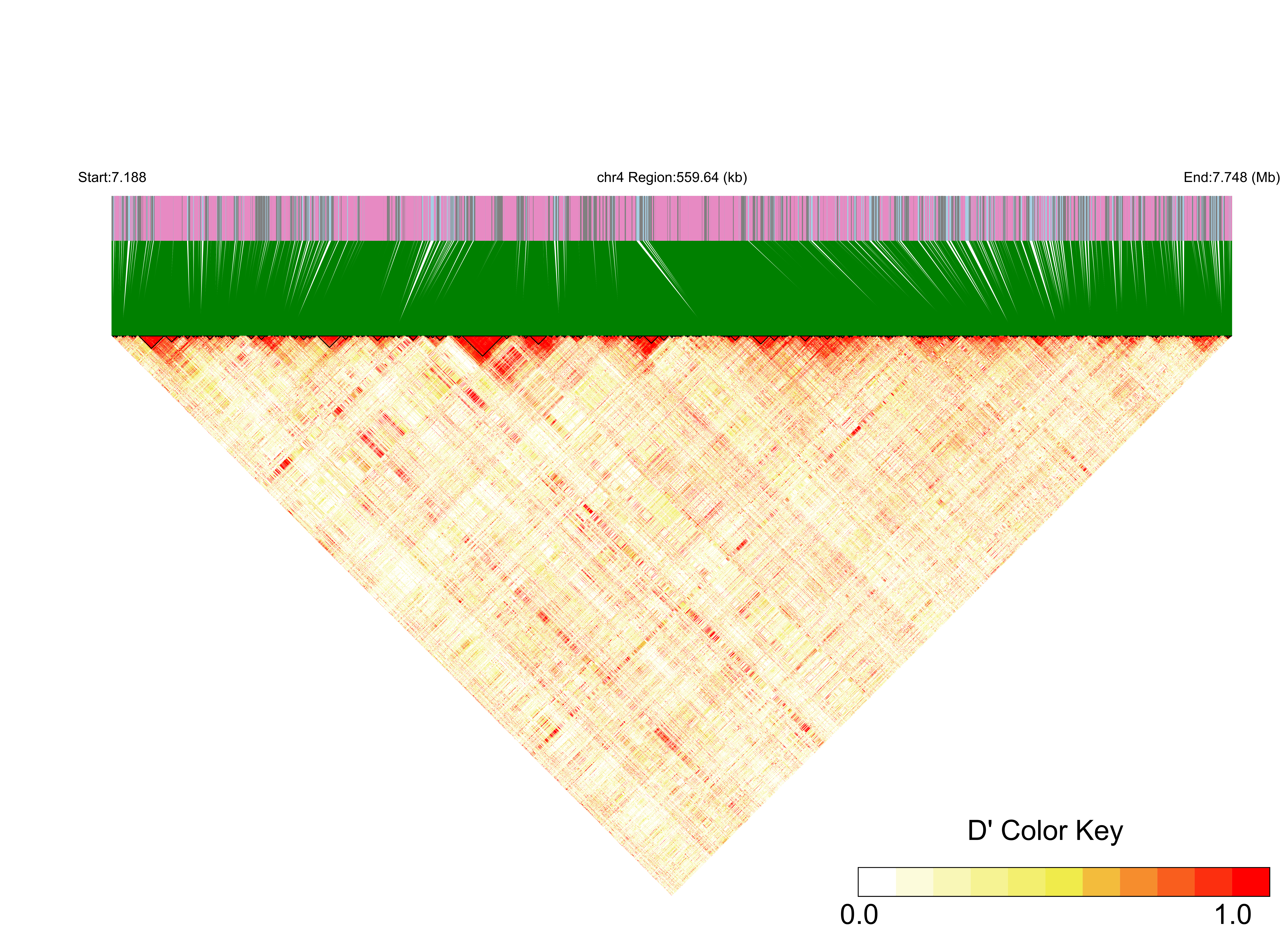 LD