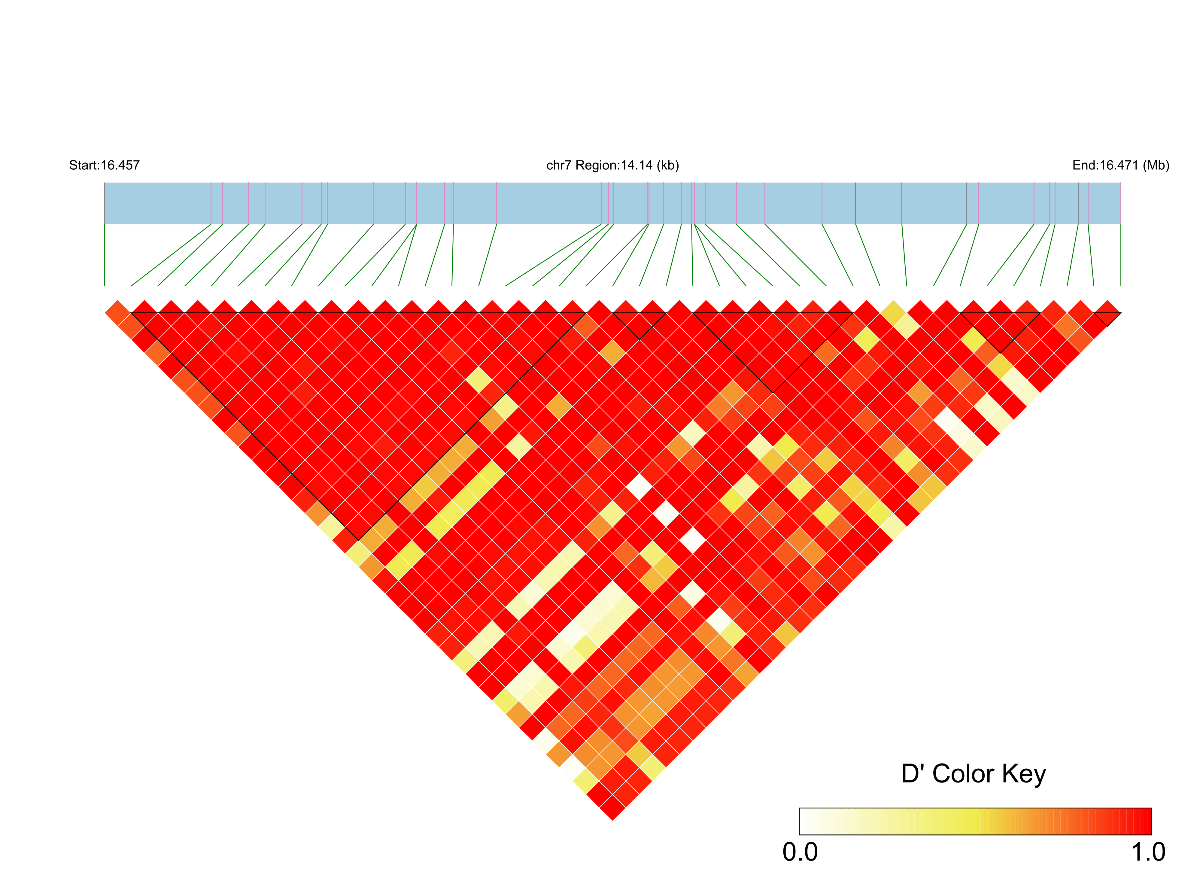 LD