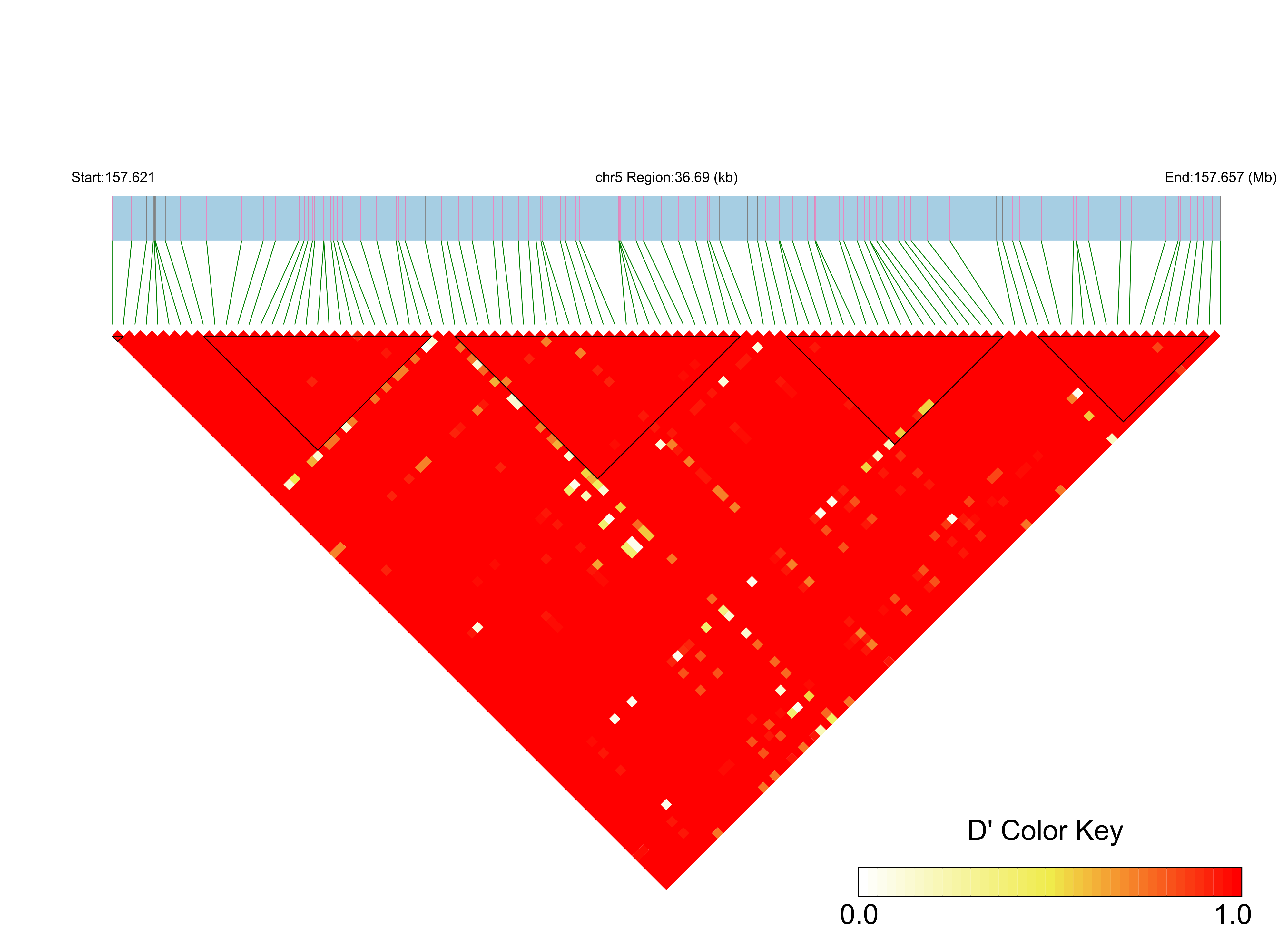 LD