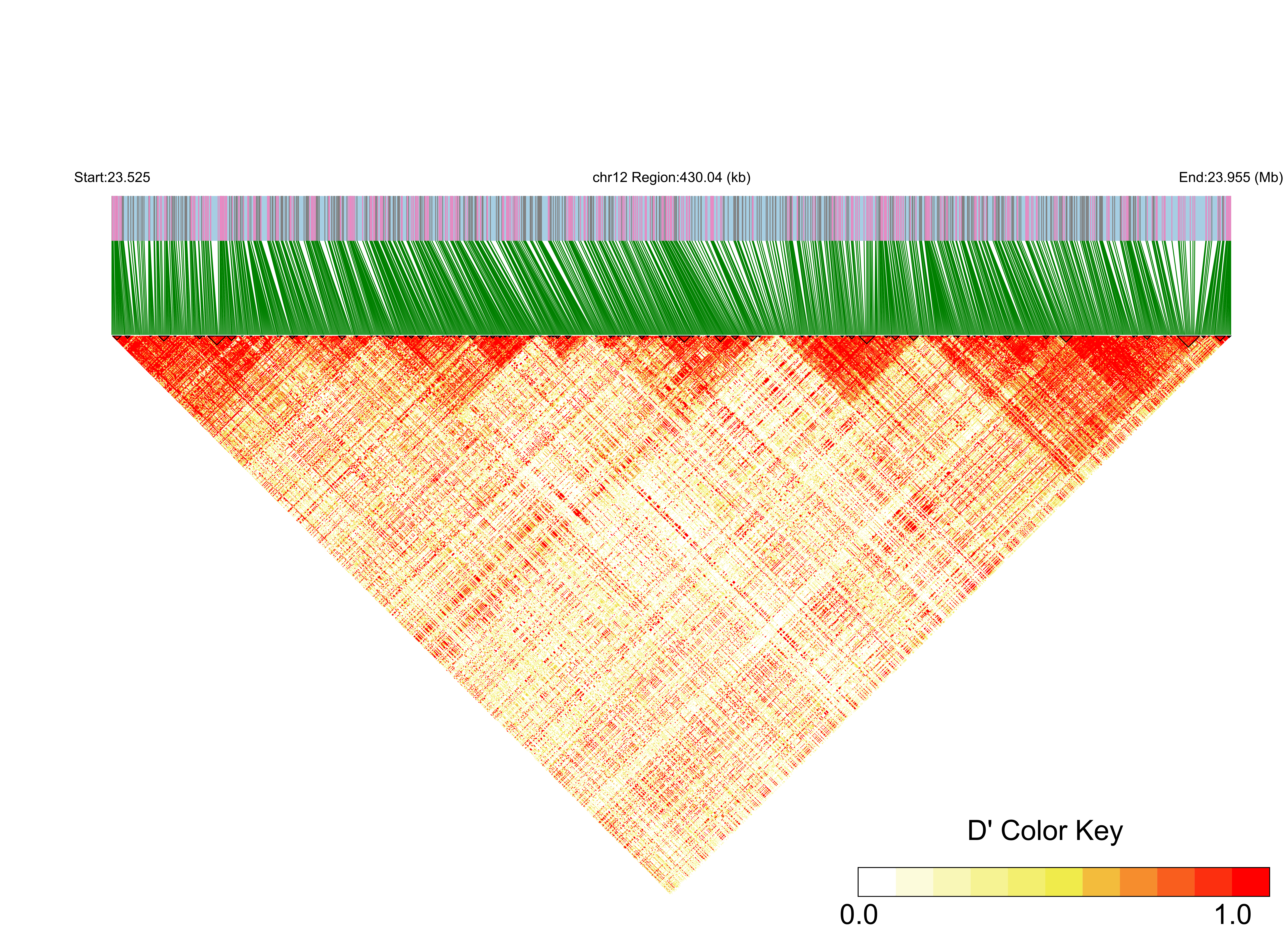LD