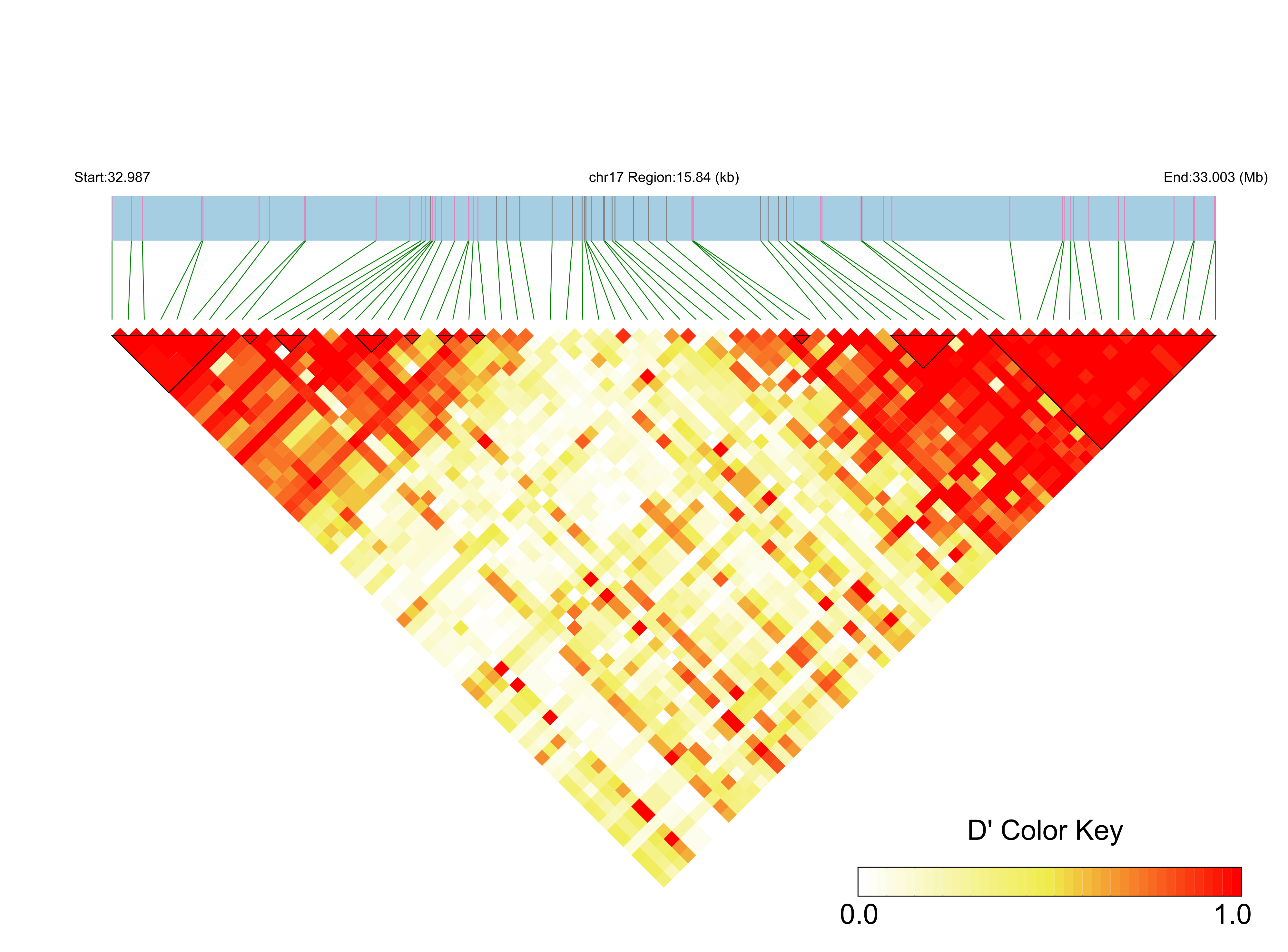 LD
