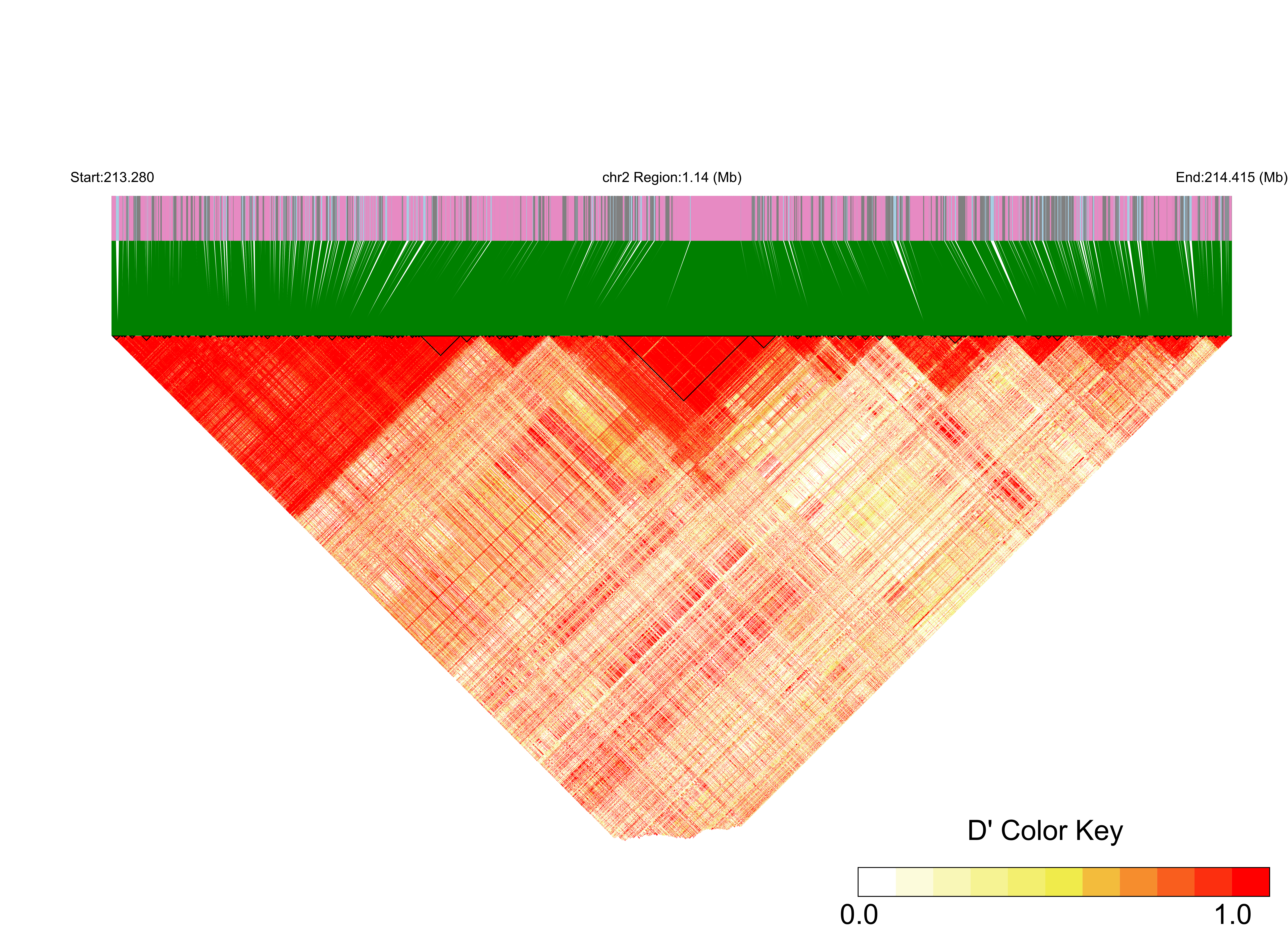 LD