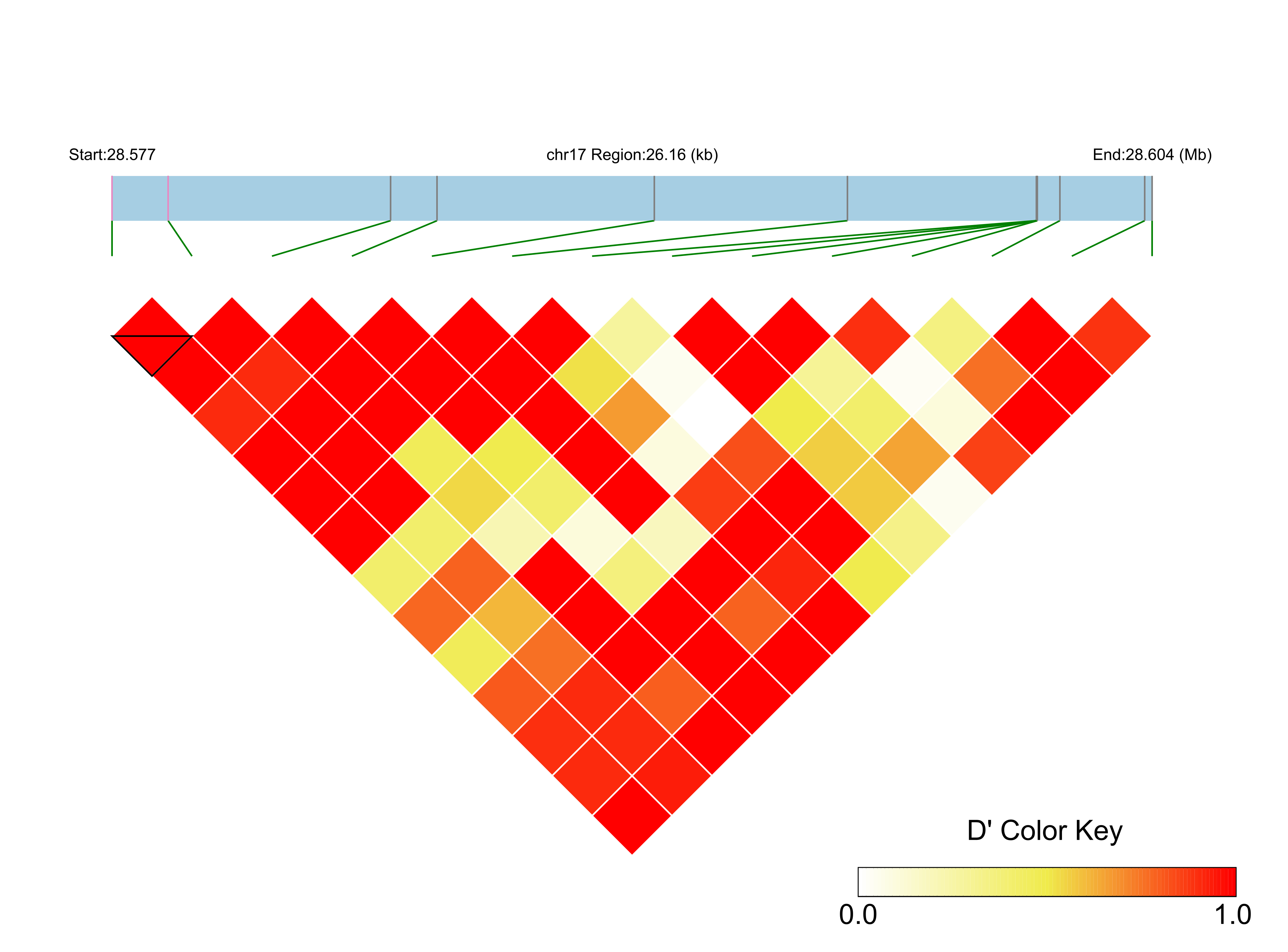 LD