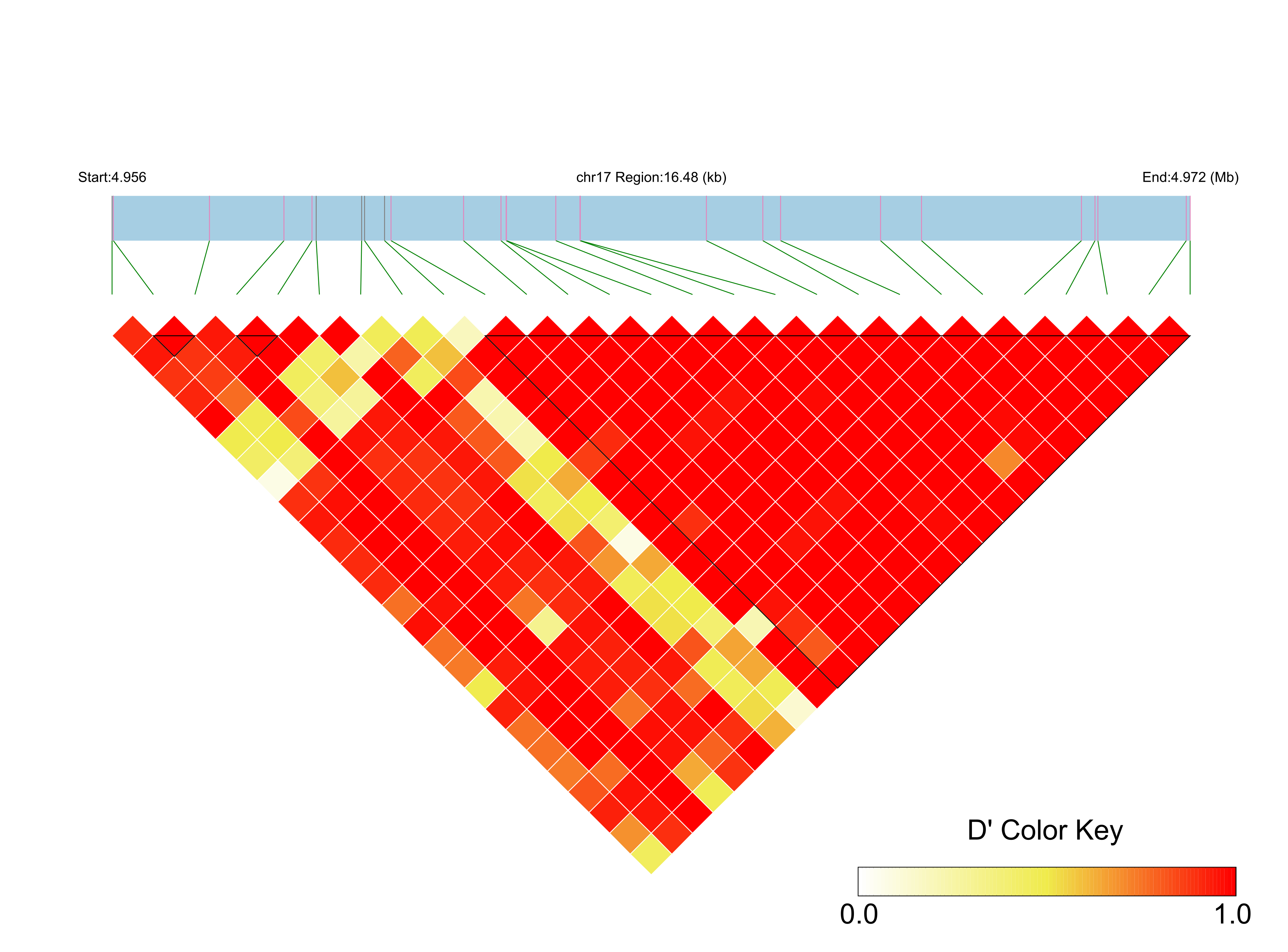 LD