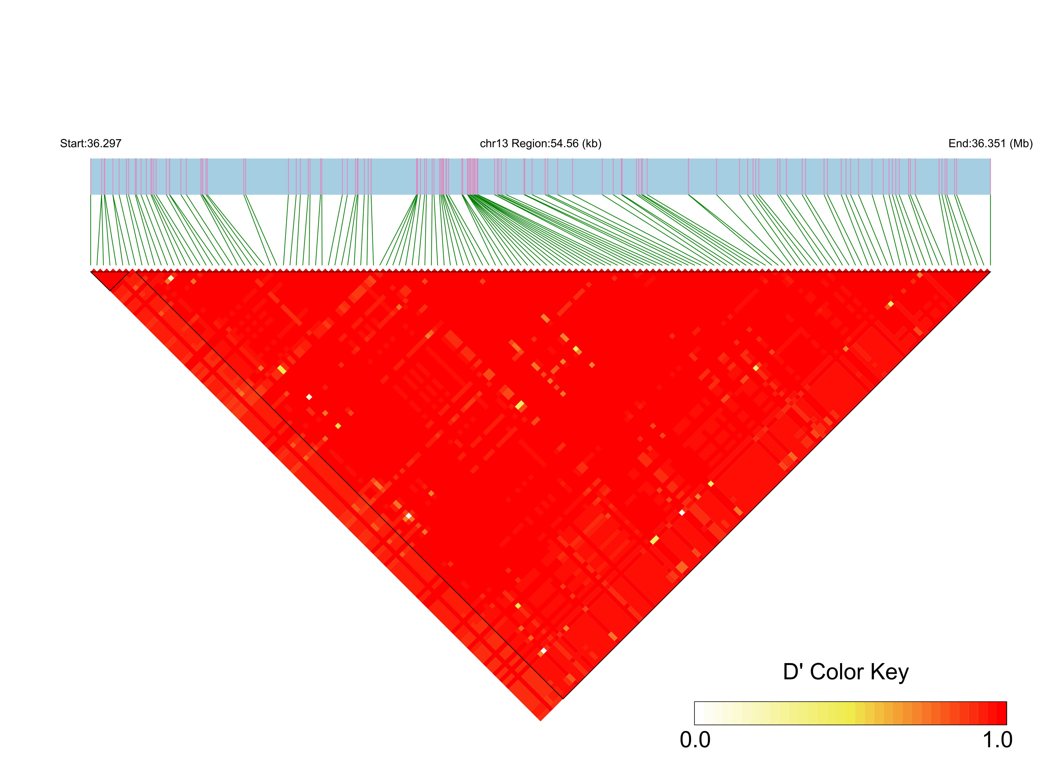 LD