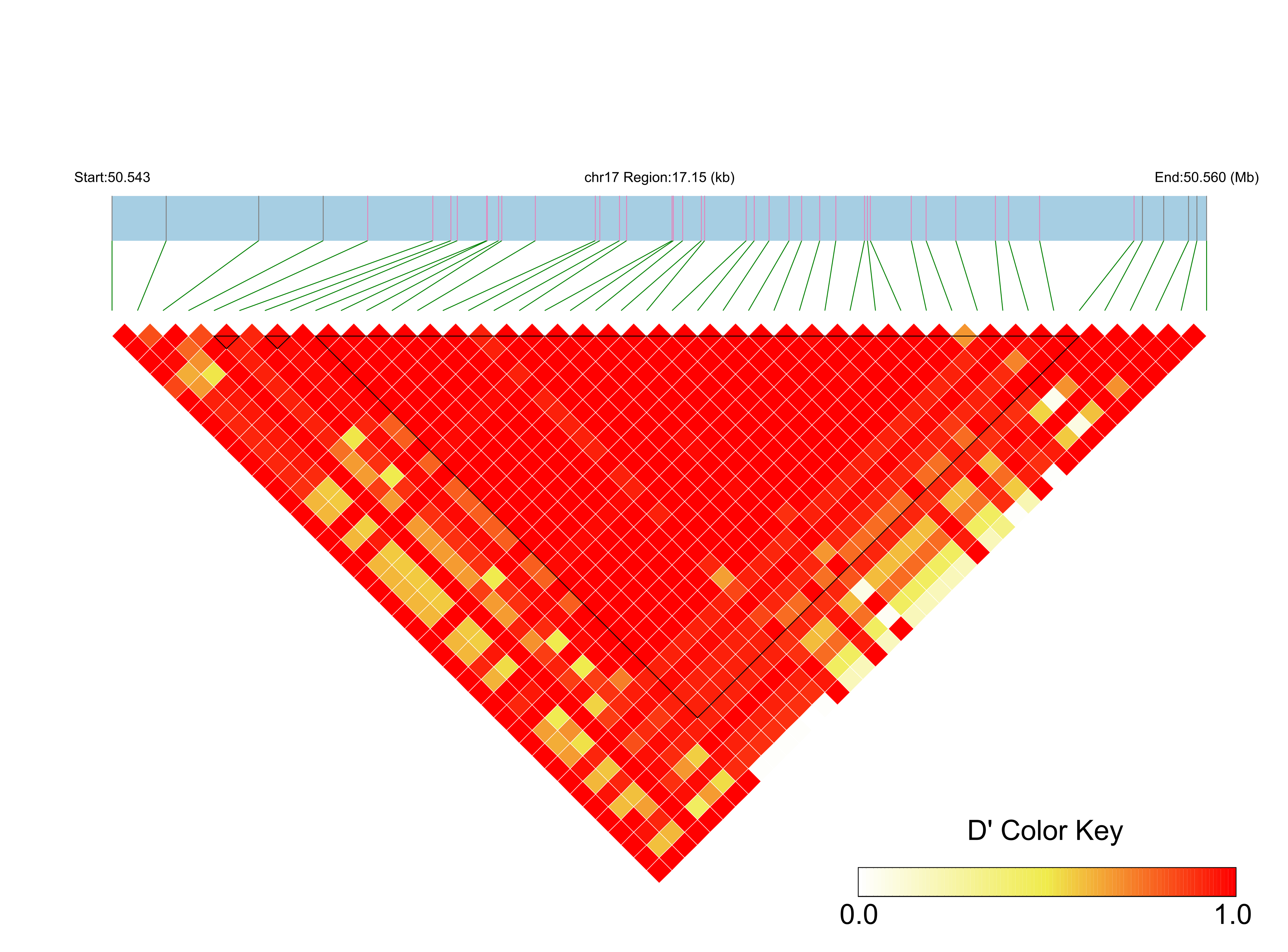 LD
