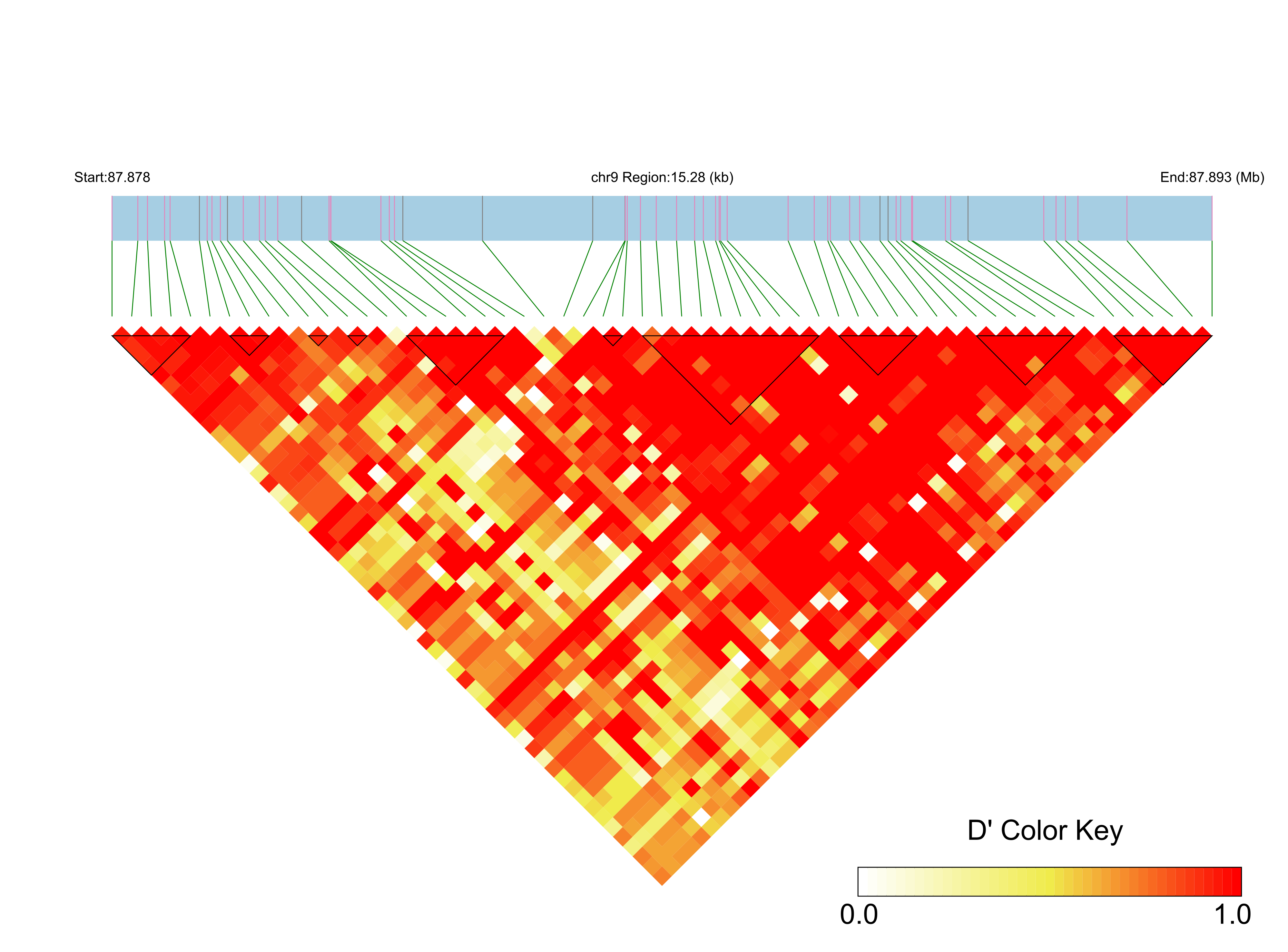 LD