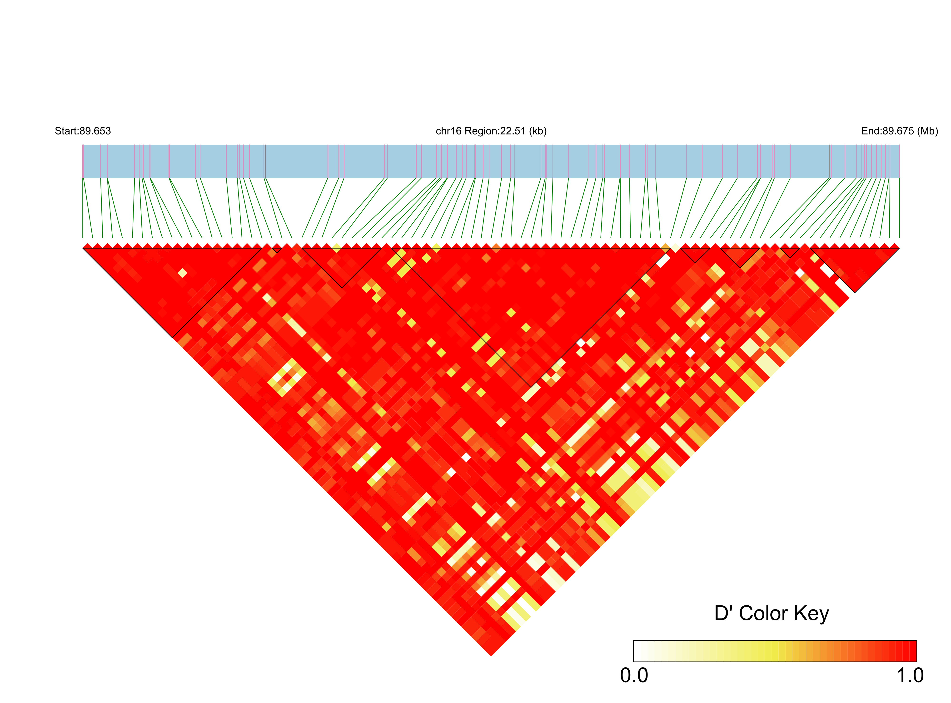 LD