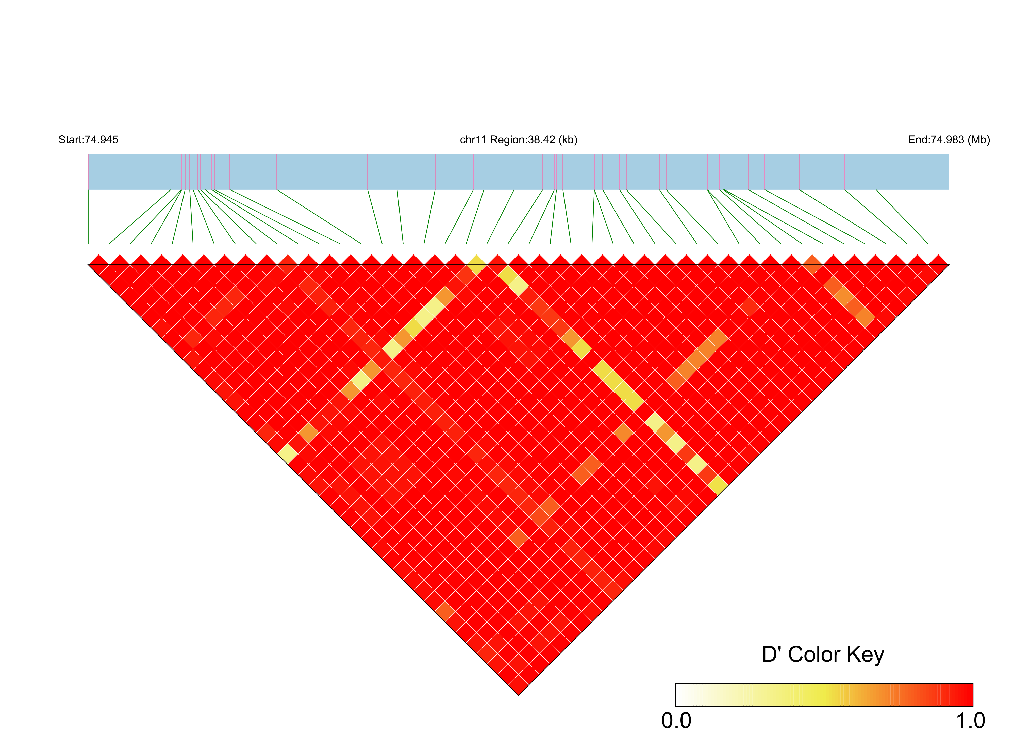 LD