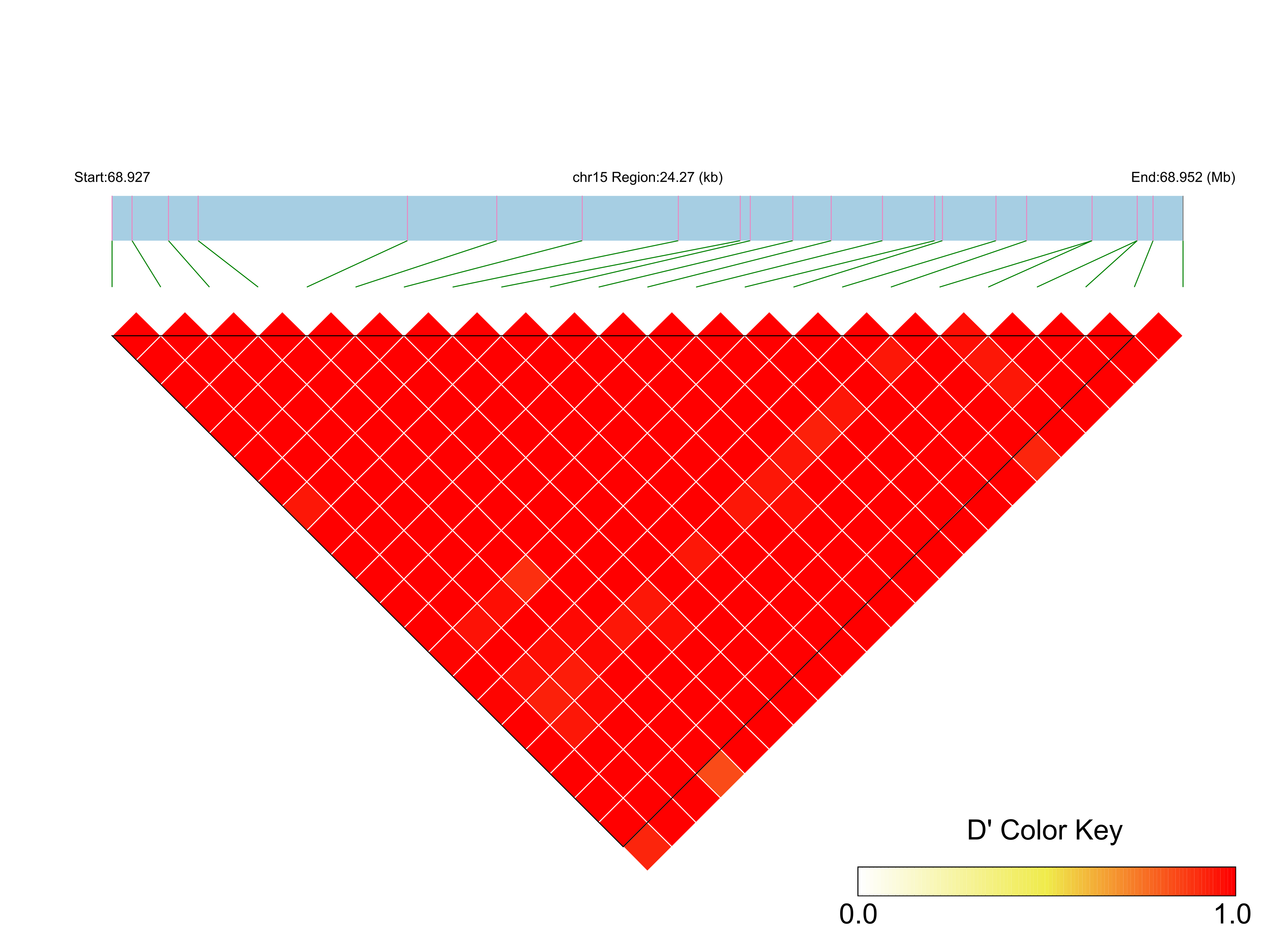 LD