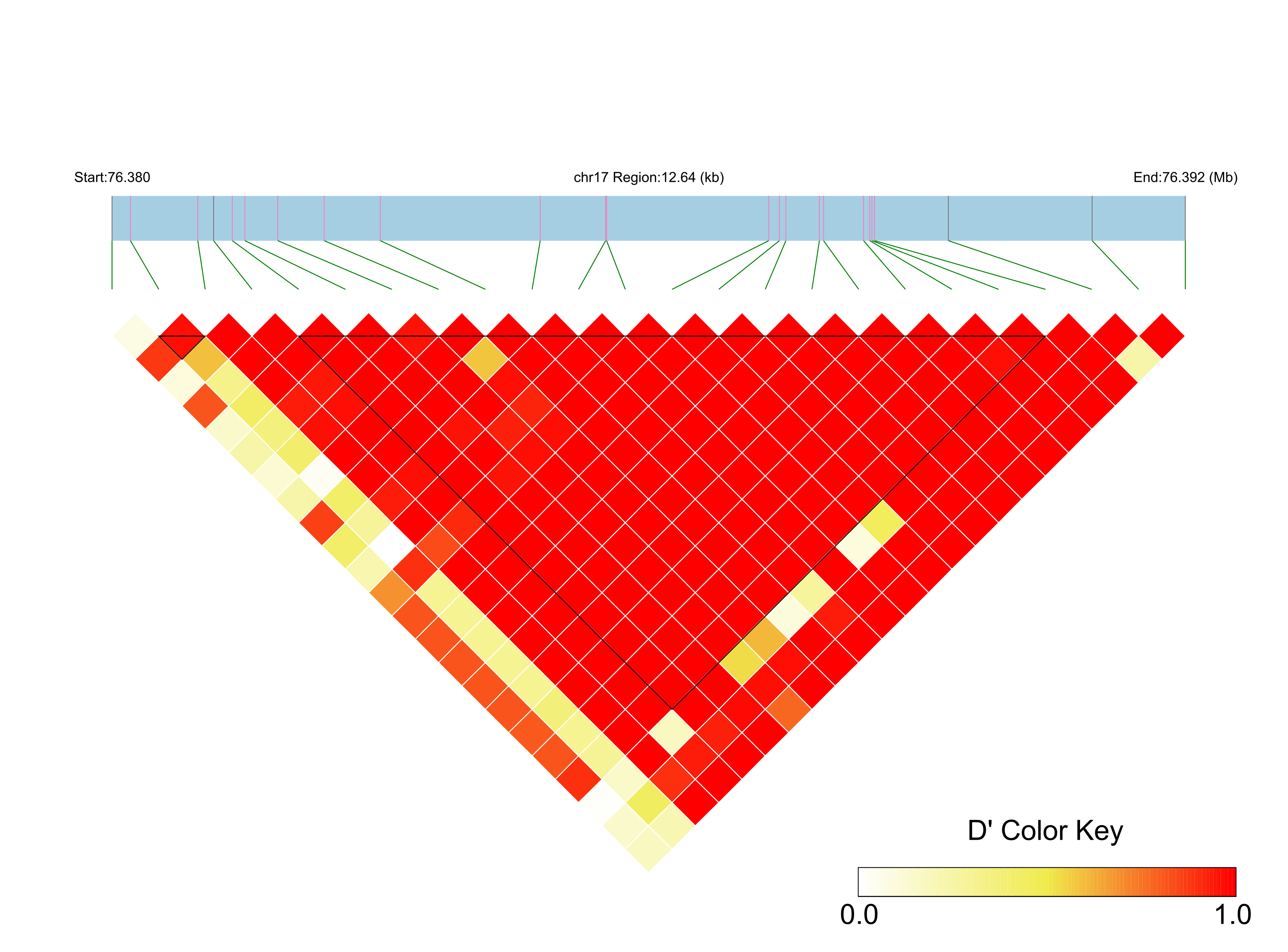 LD