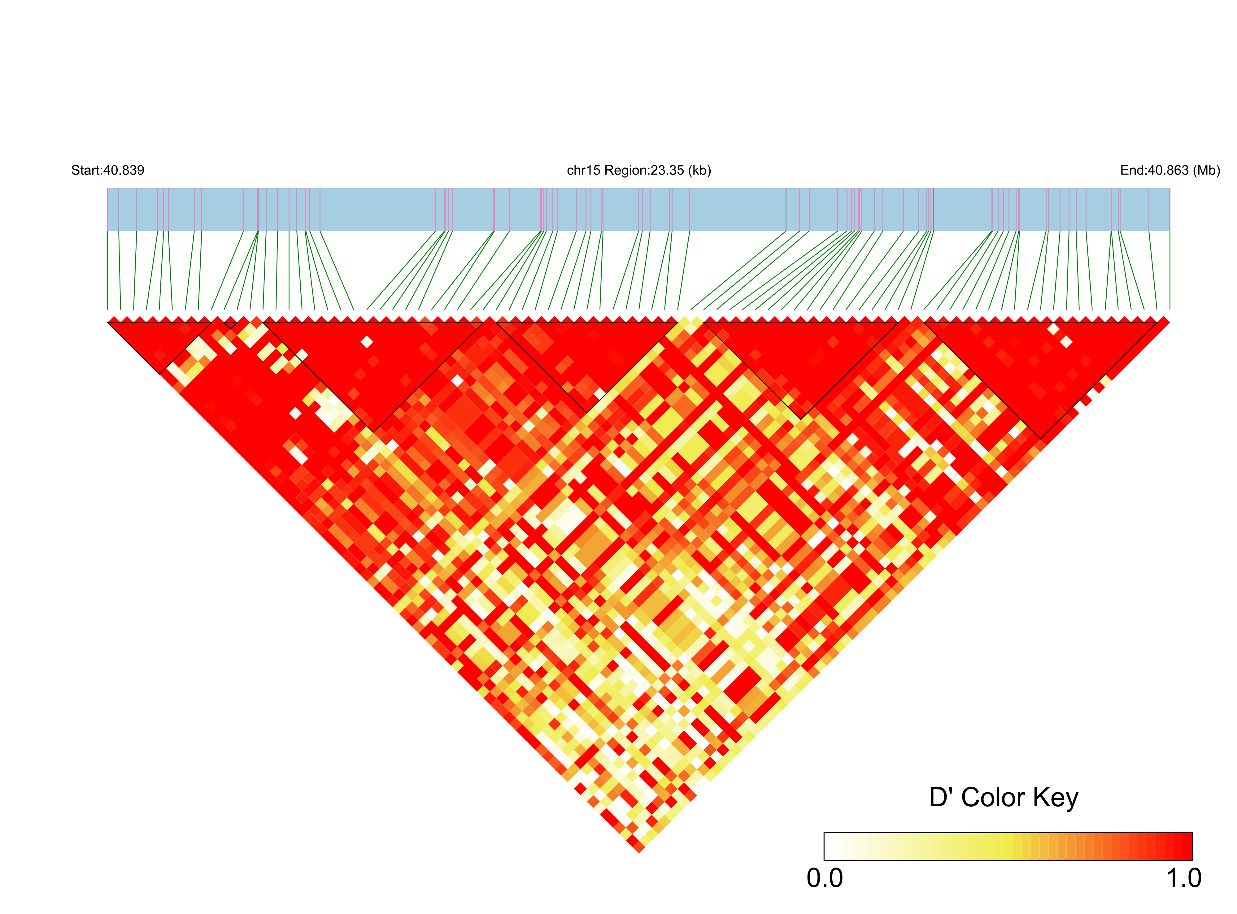 LD