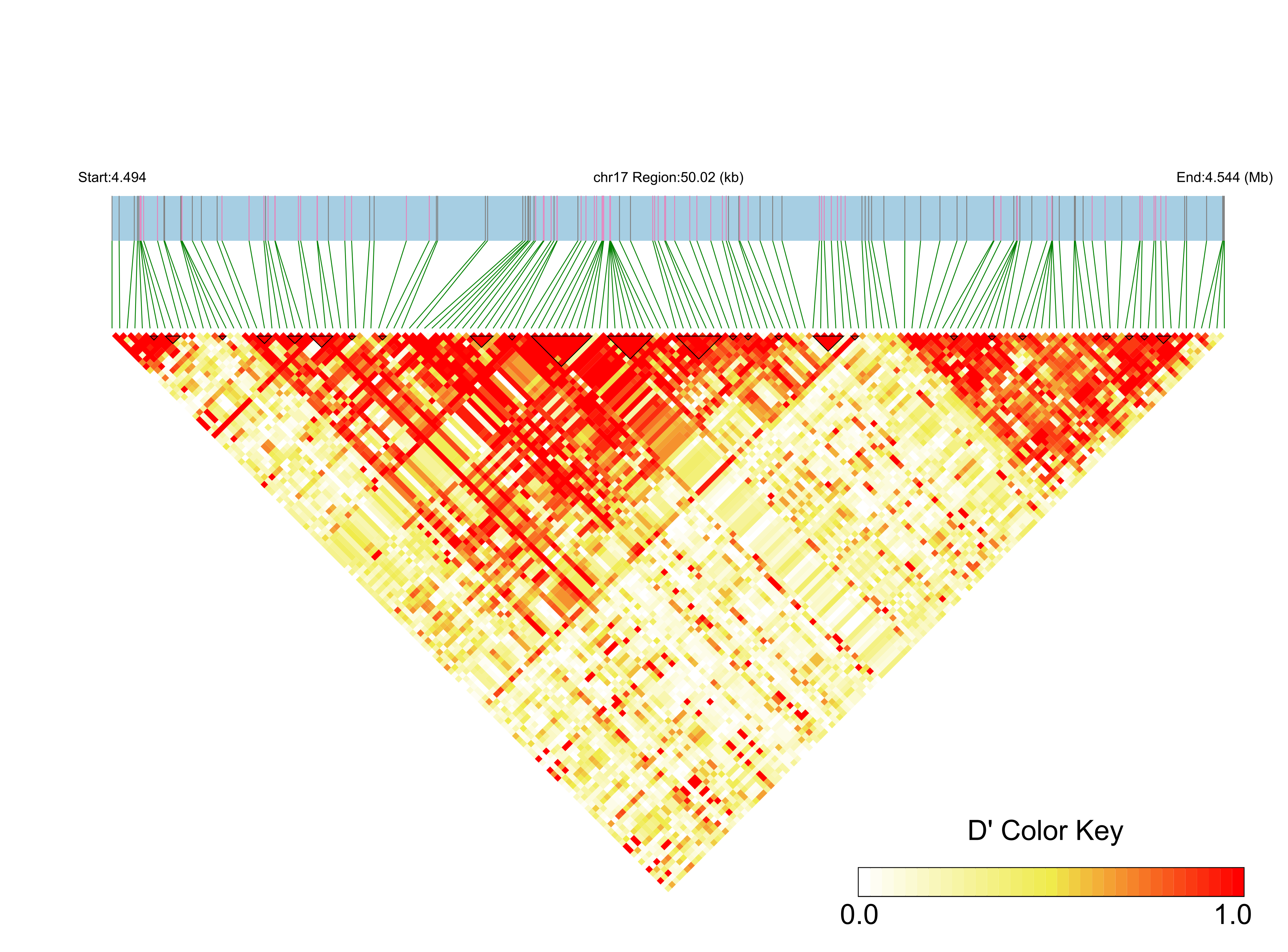 LD