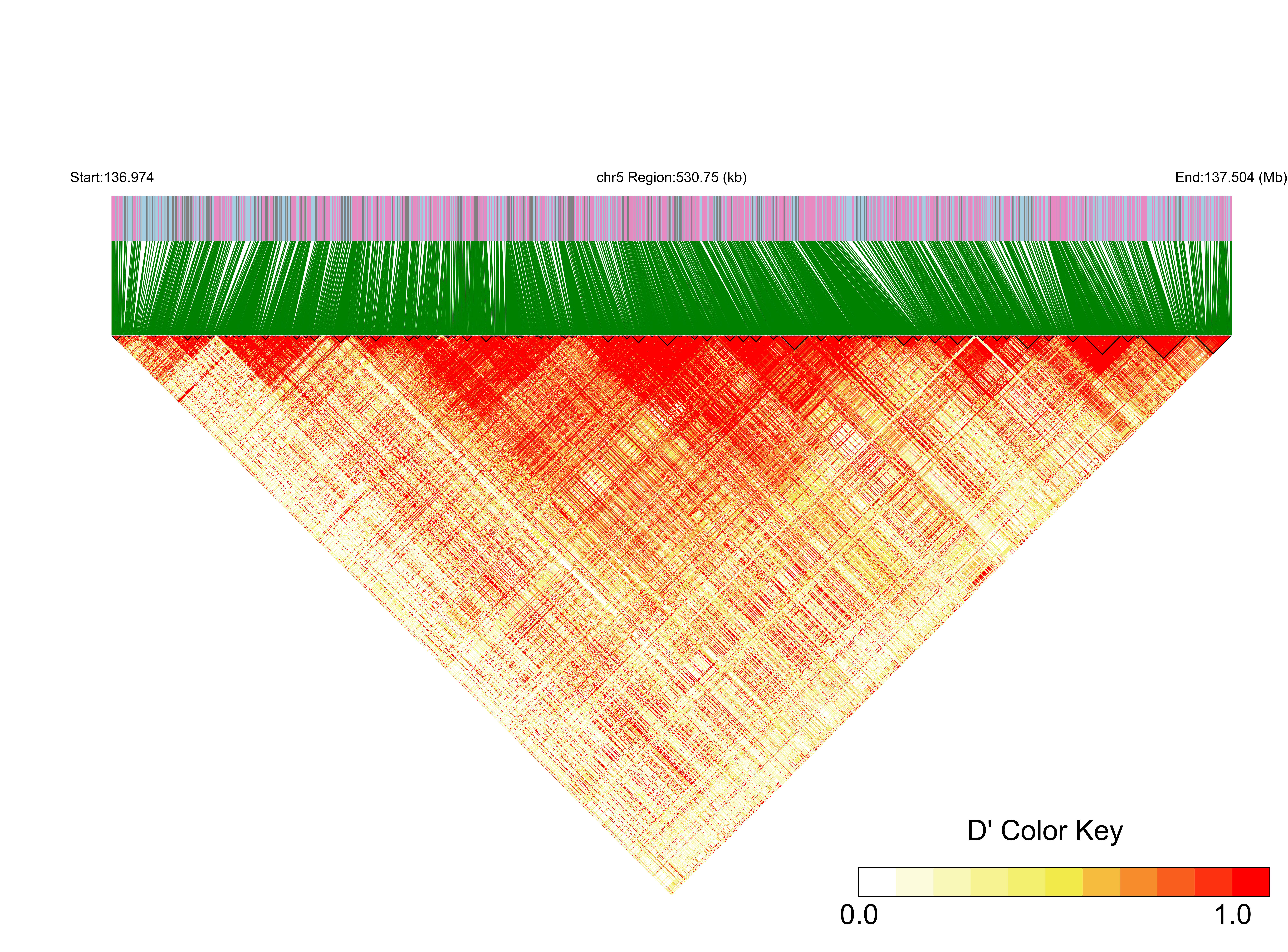 LD