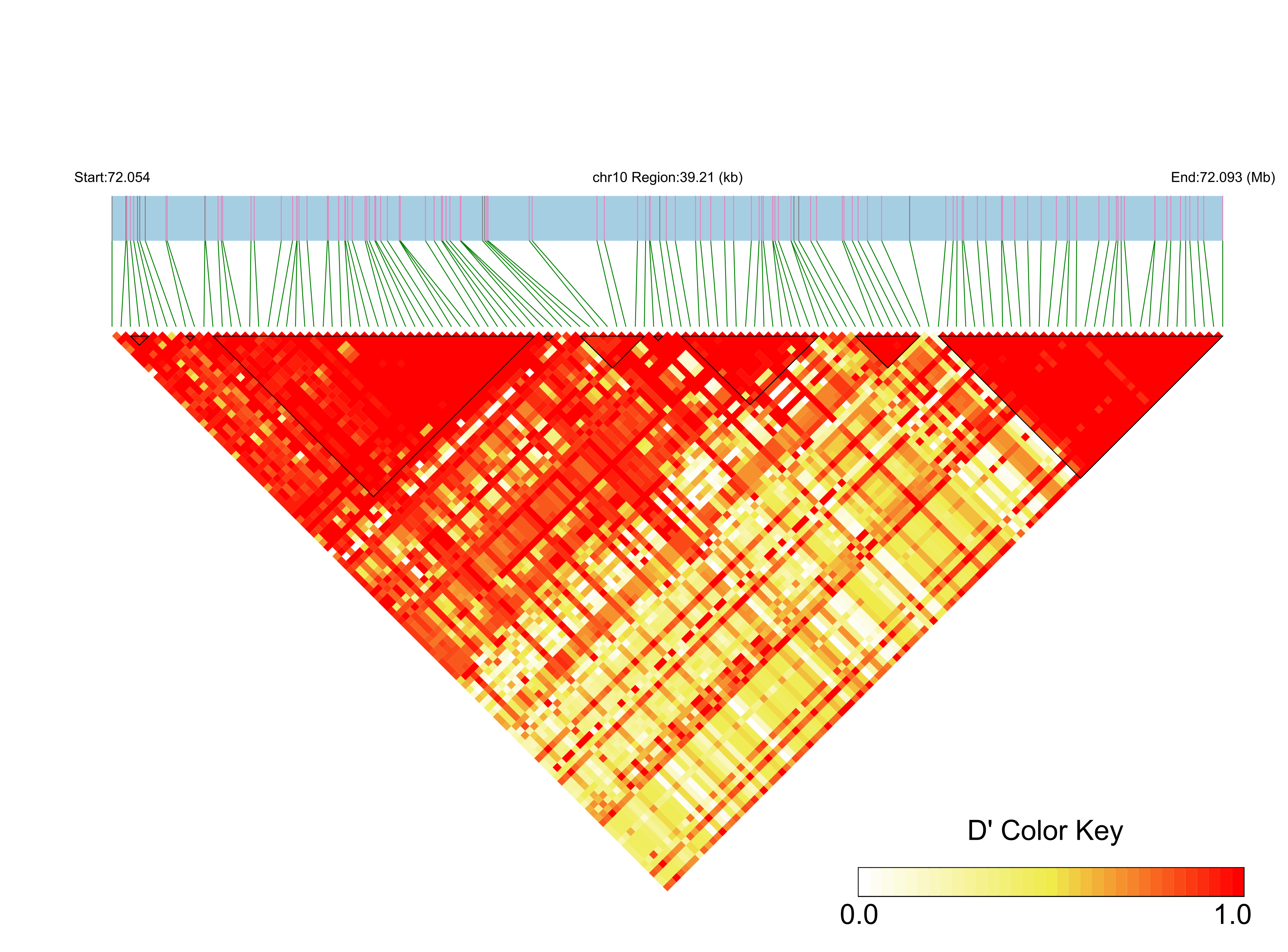 LD