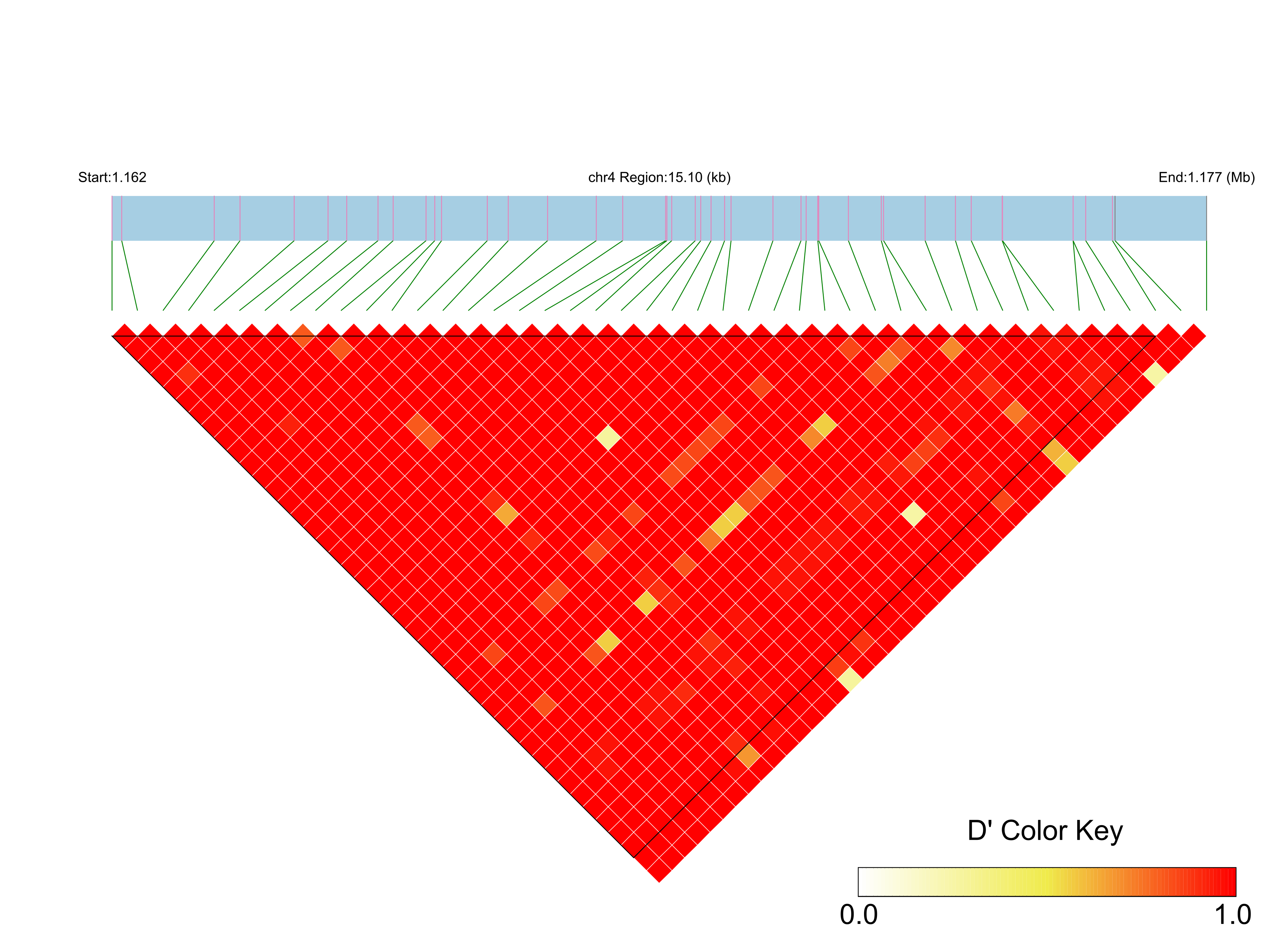 LD