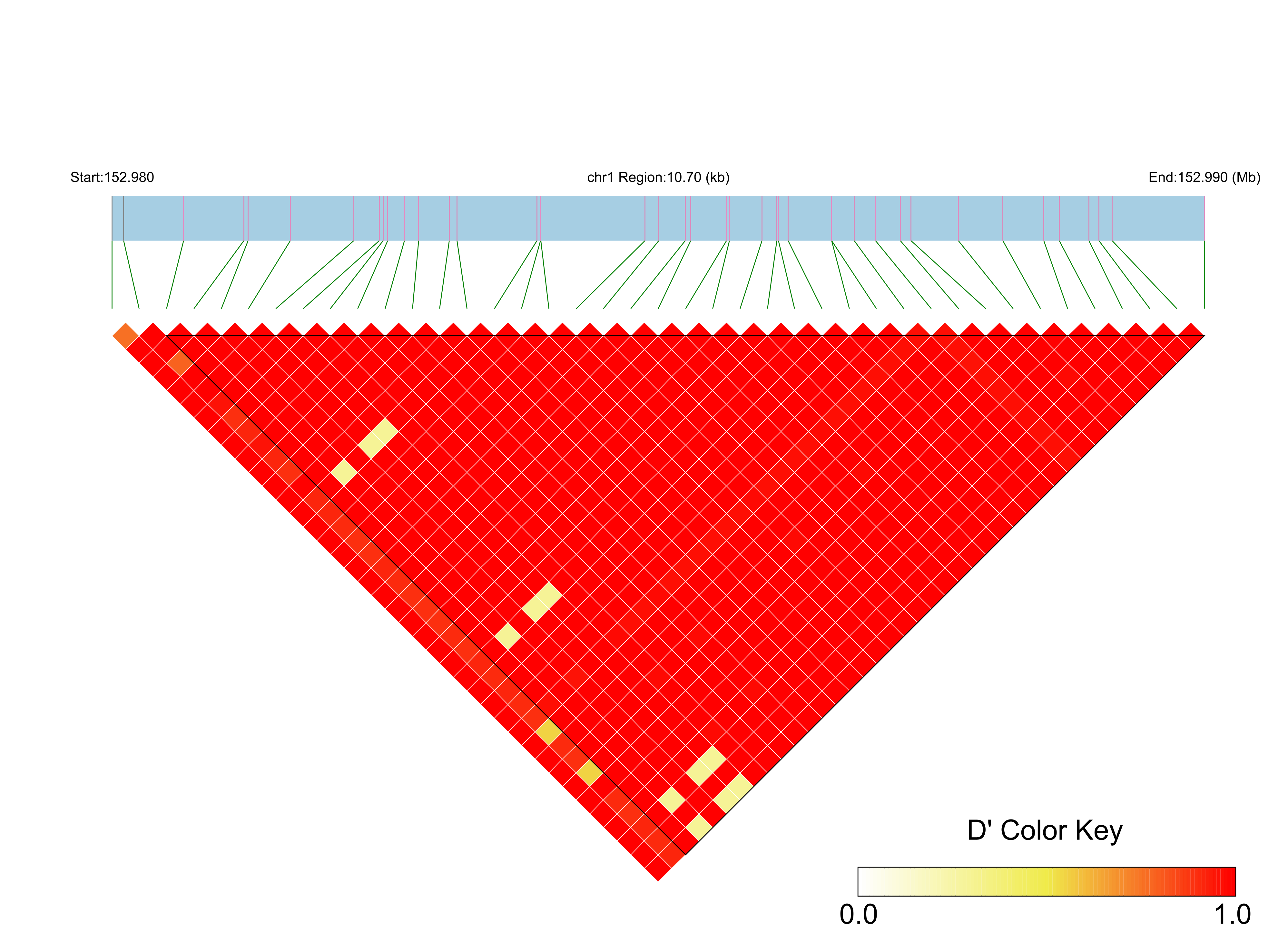 LD