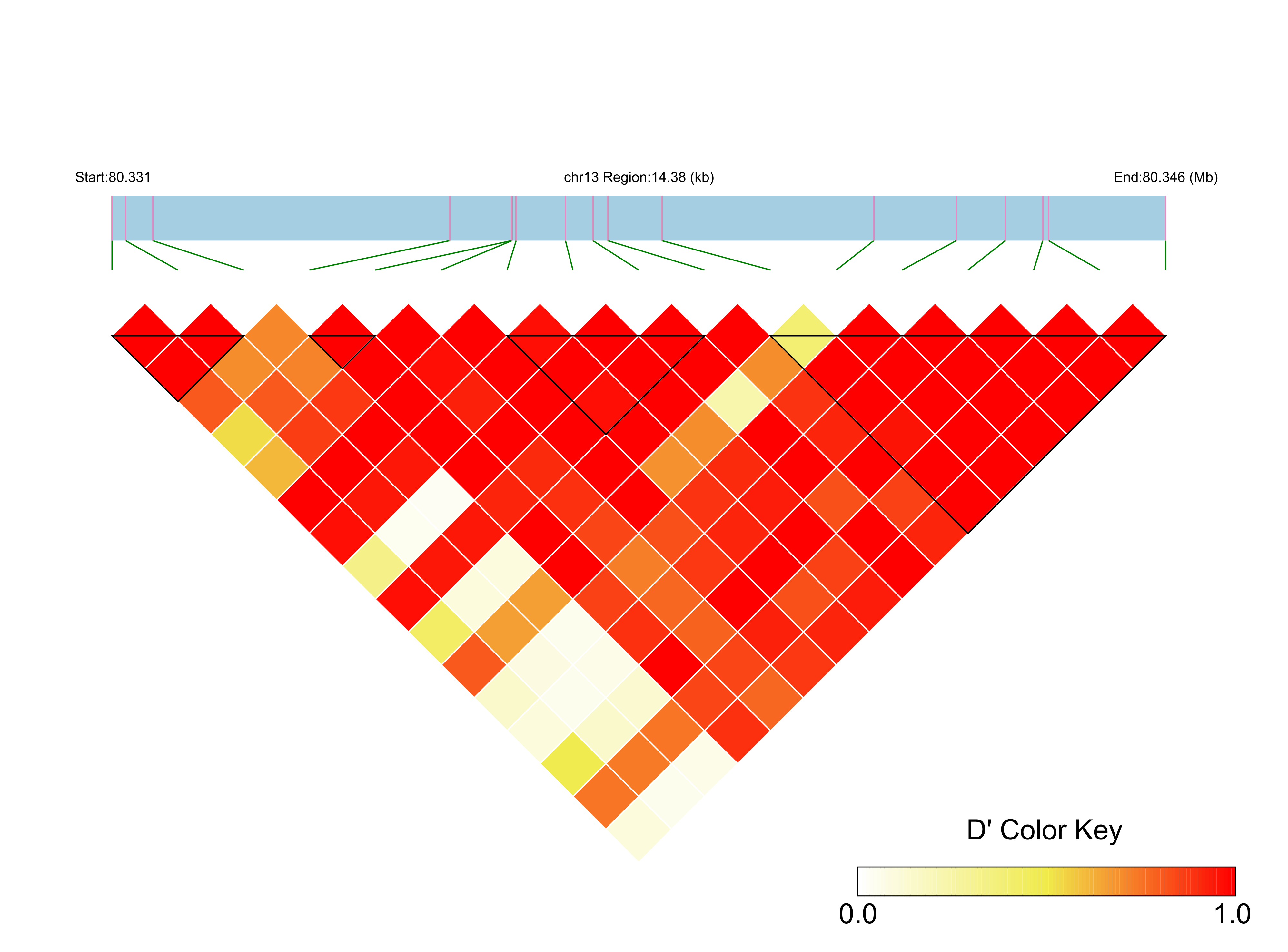 LD