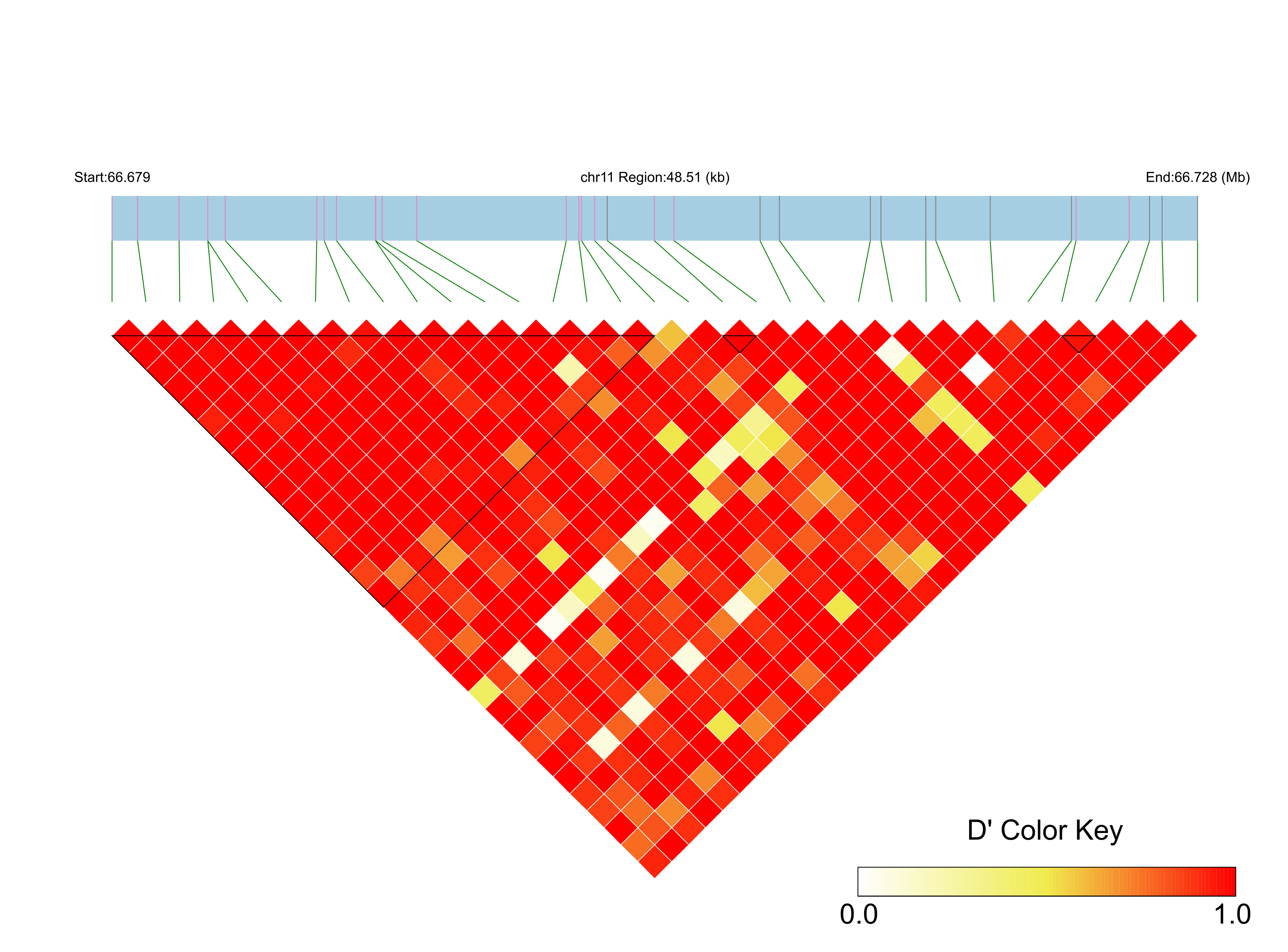 LD