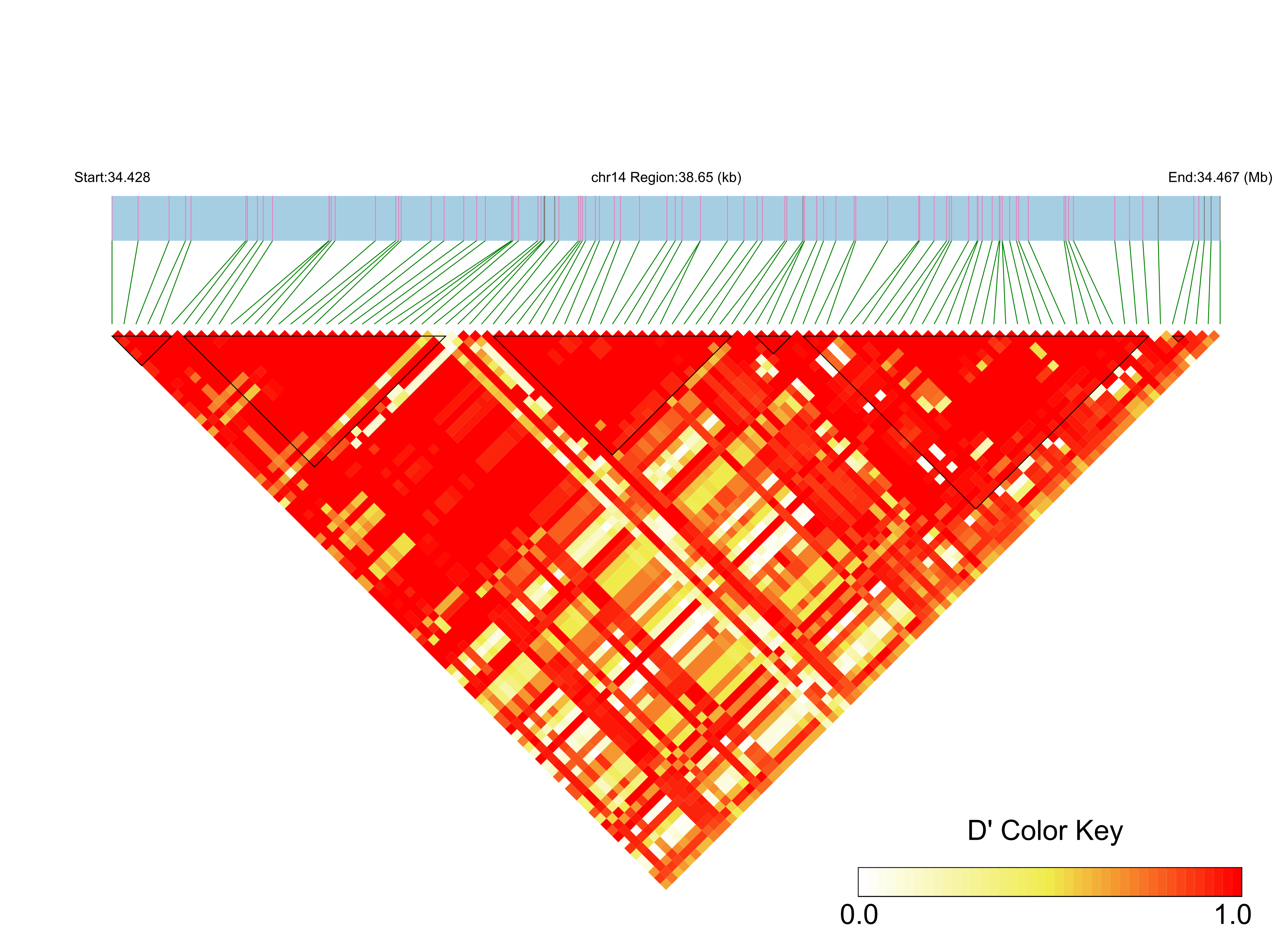 LD