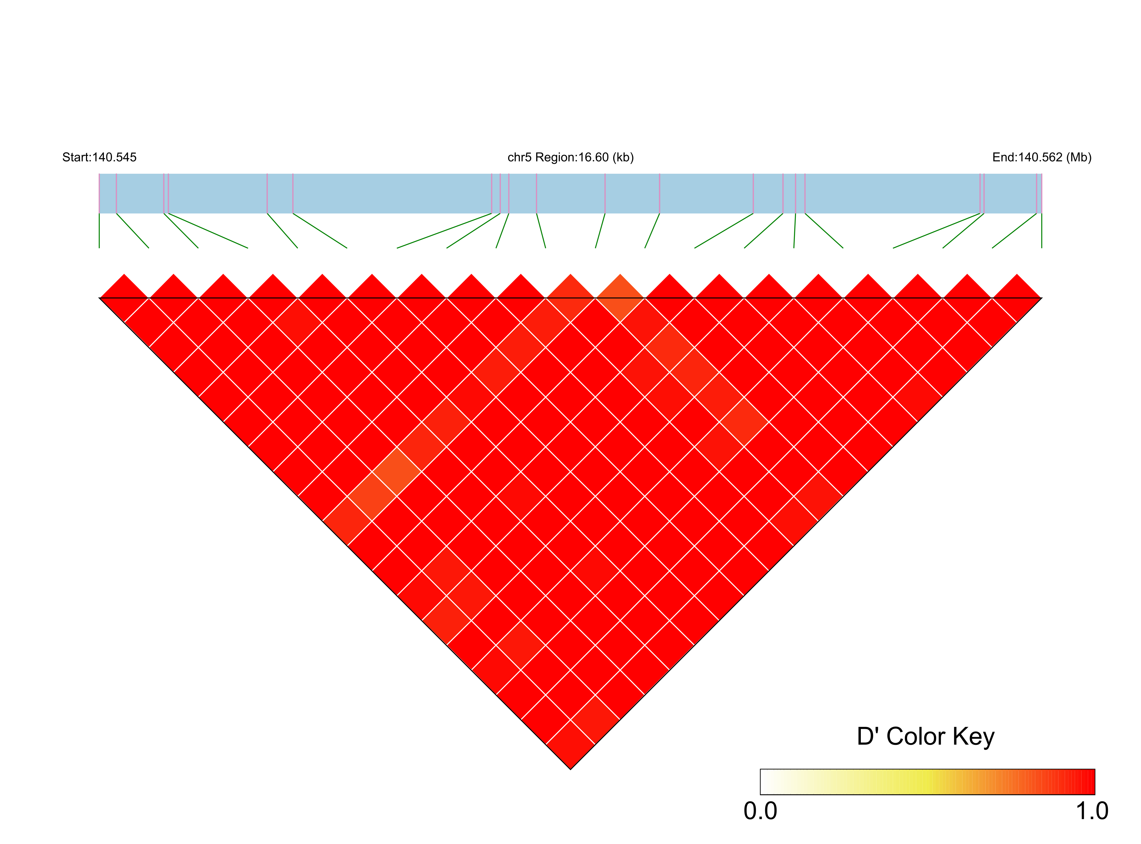 LD
