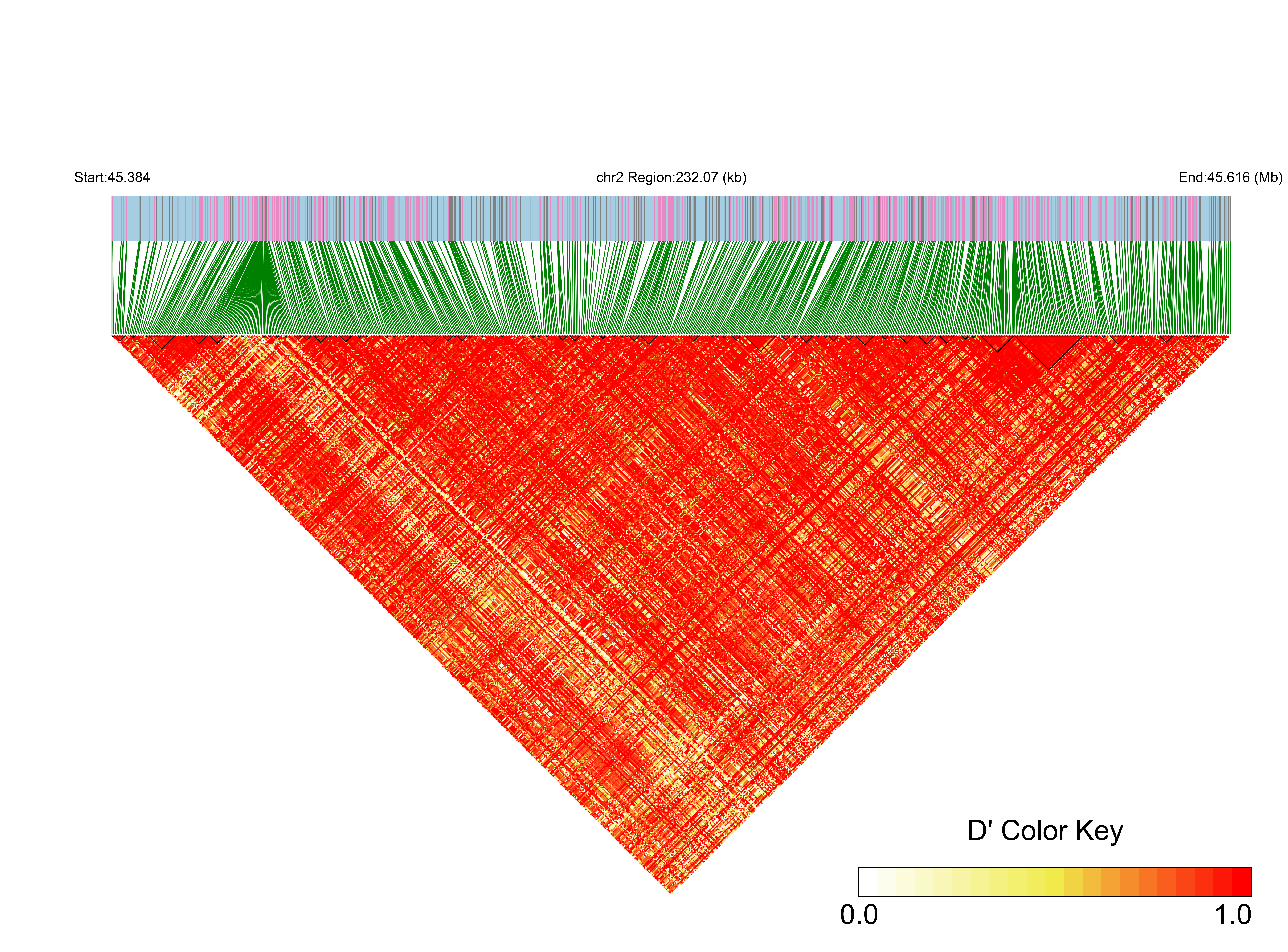 LD