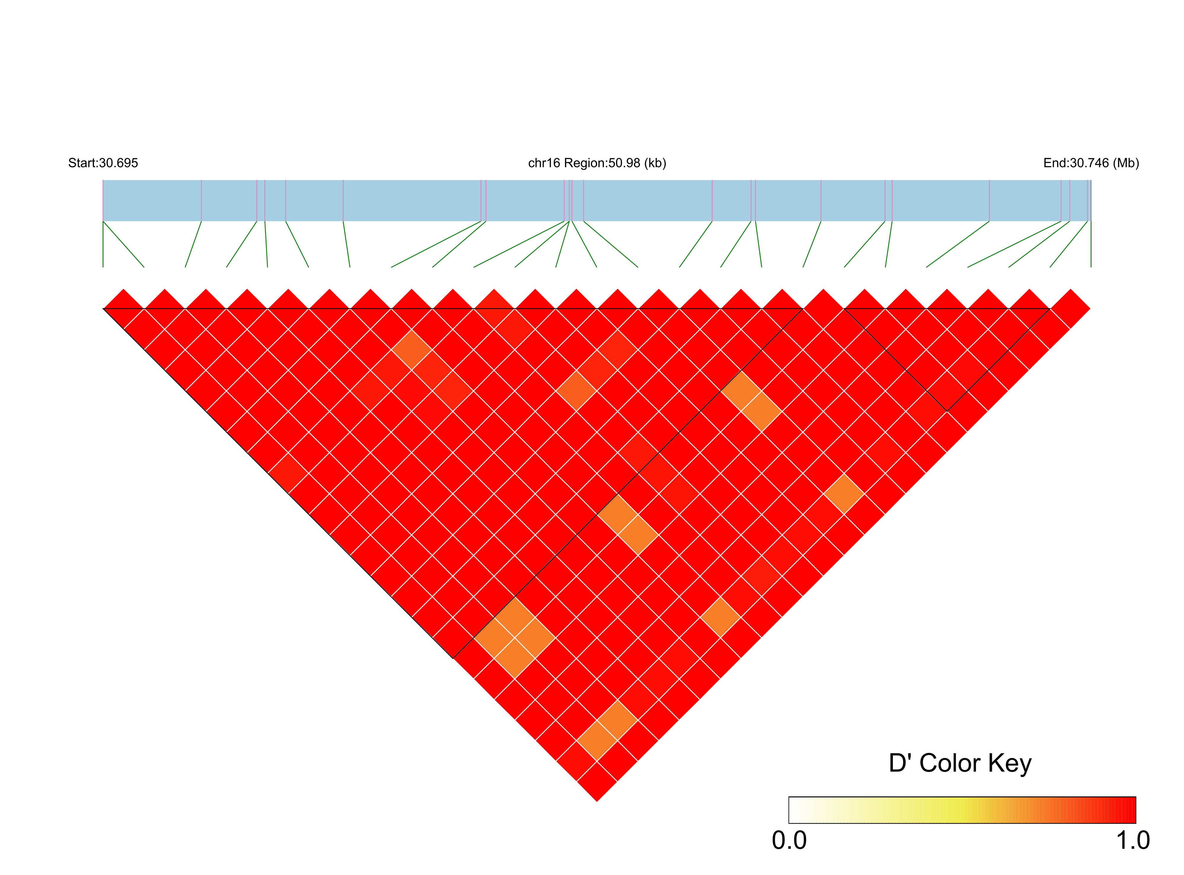 LD