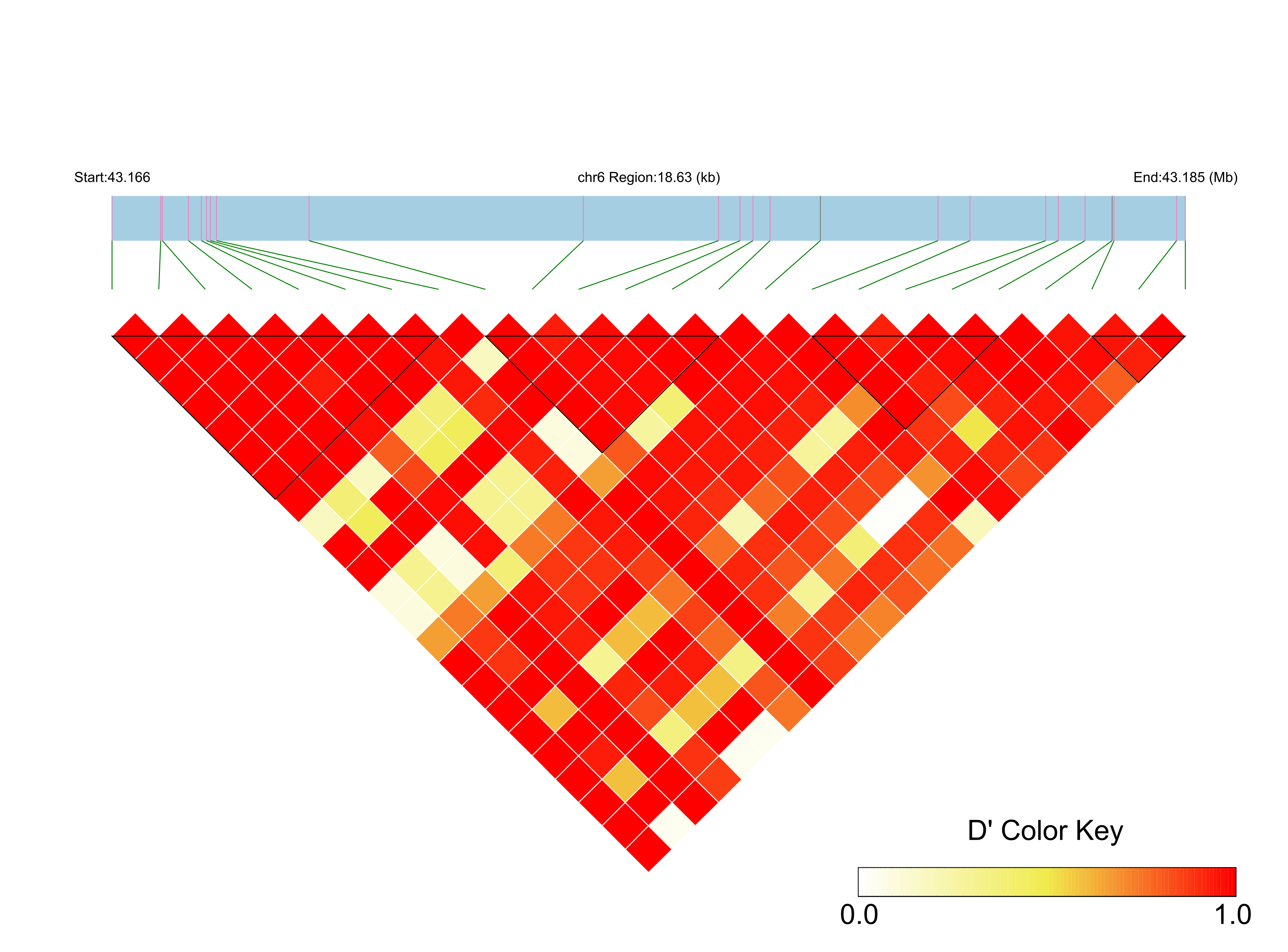 LD