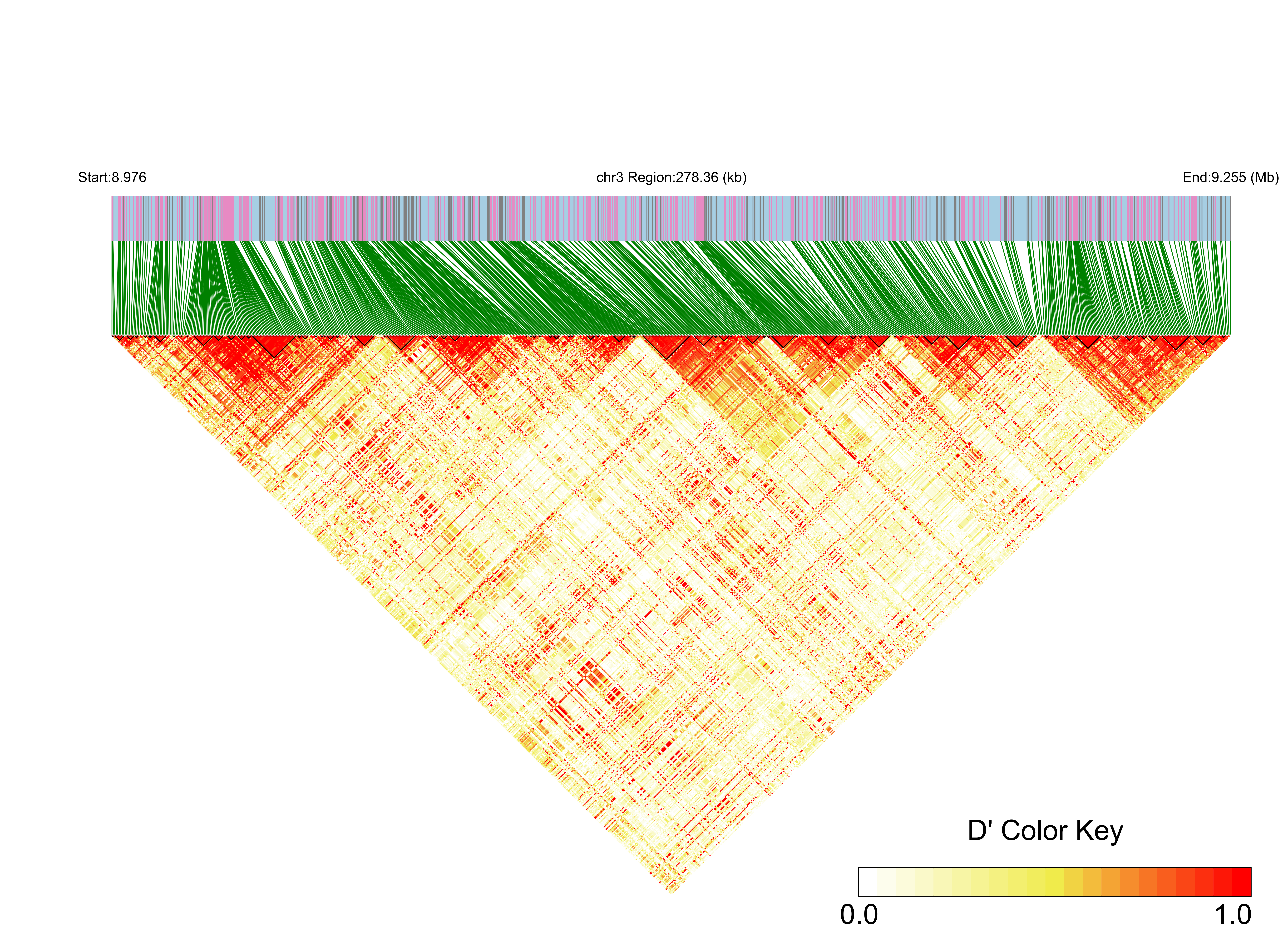LD