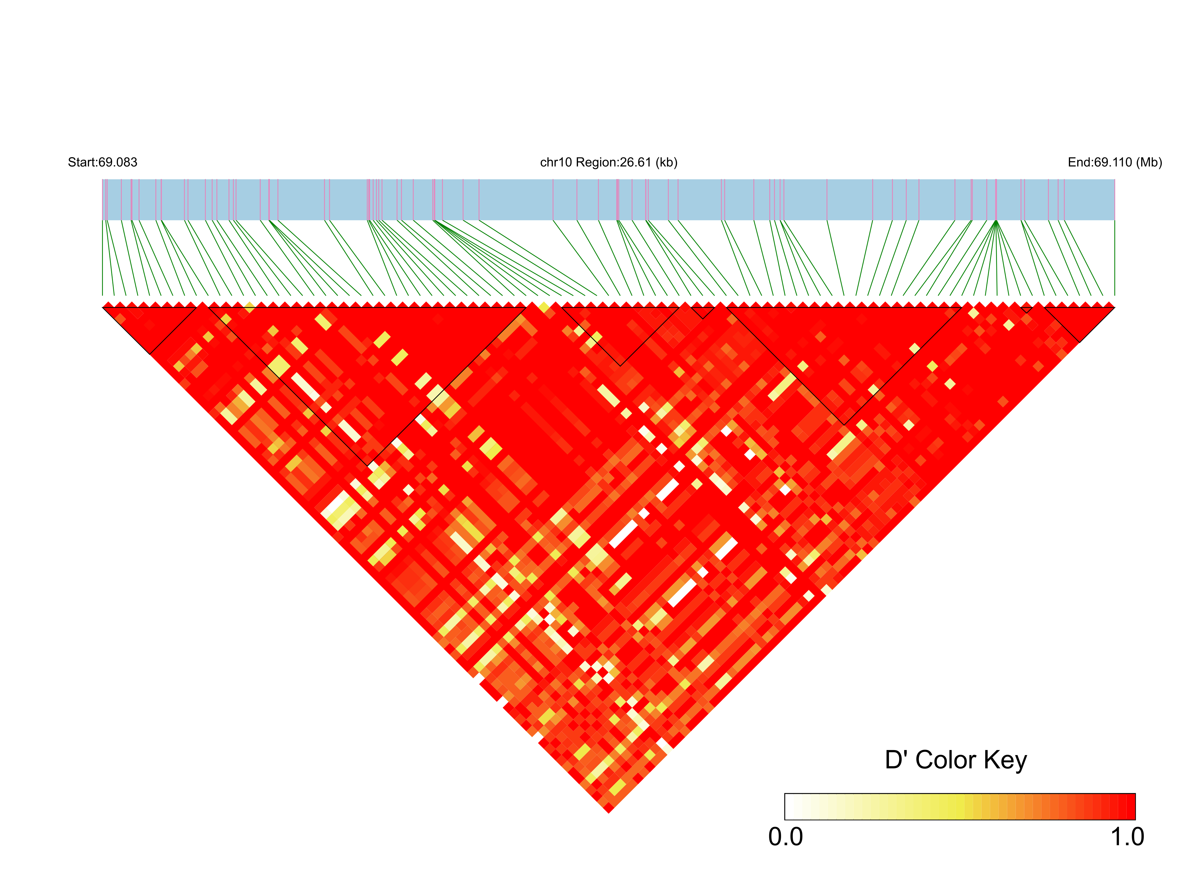 LD