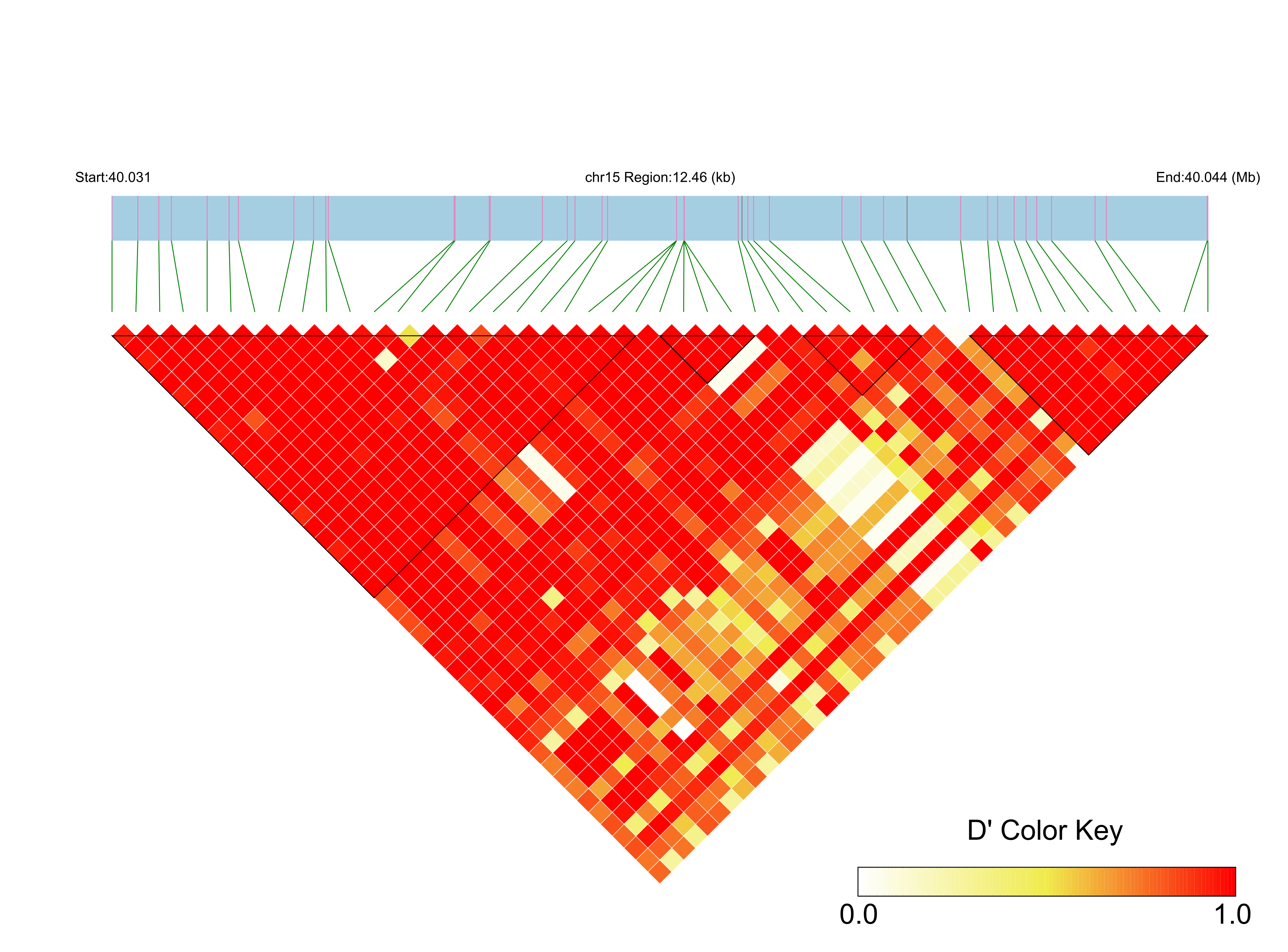 LD