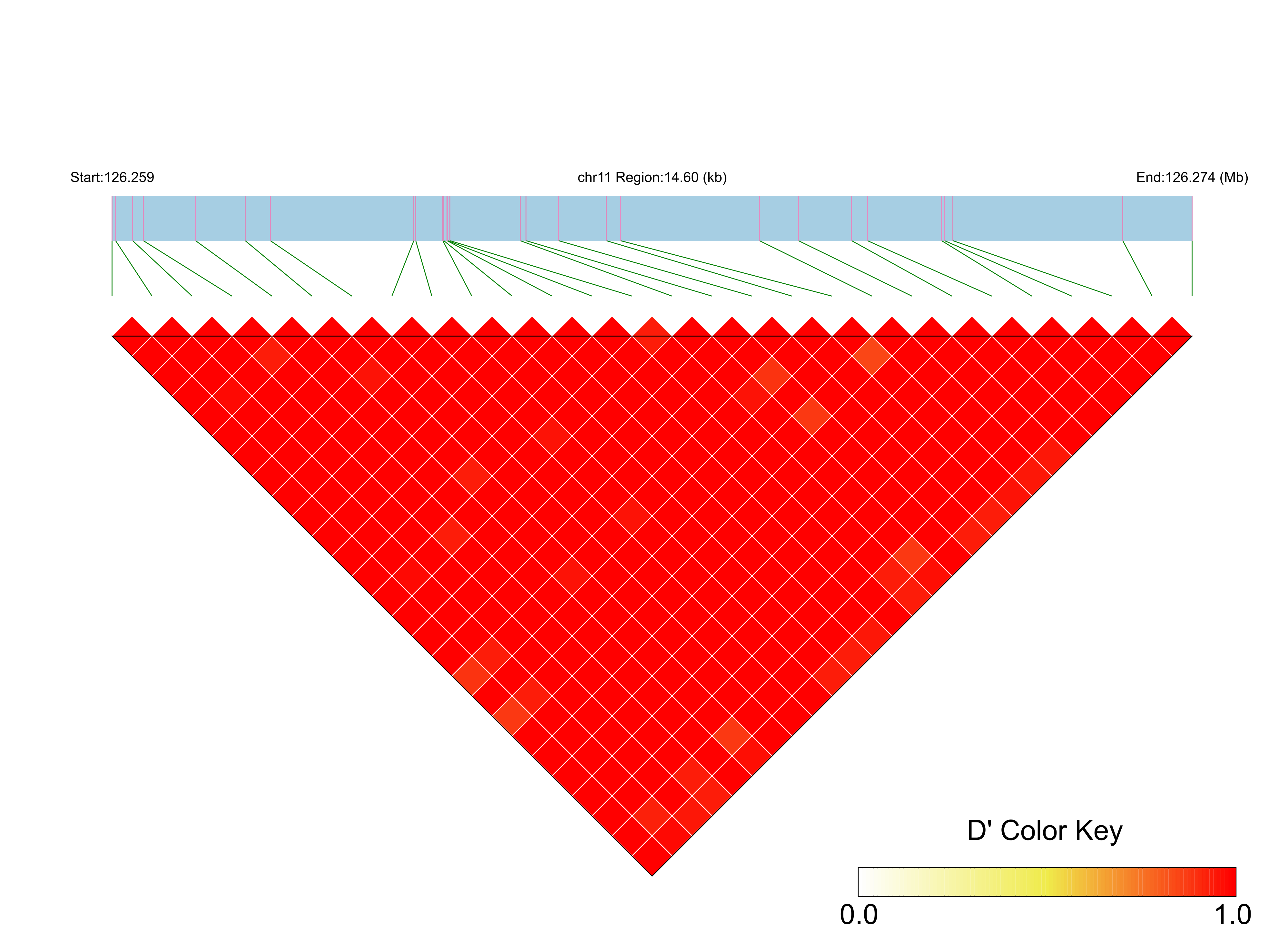 LD