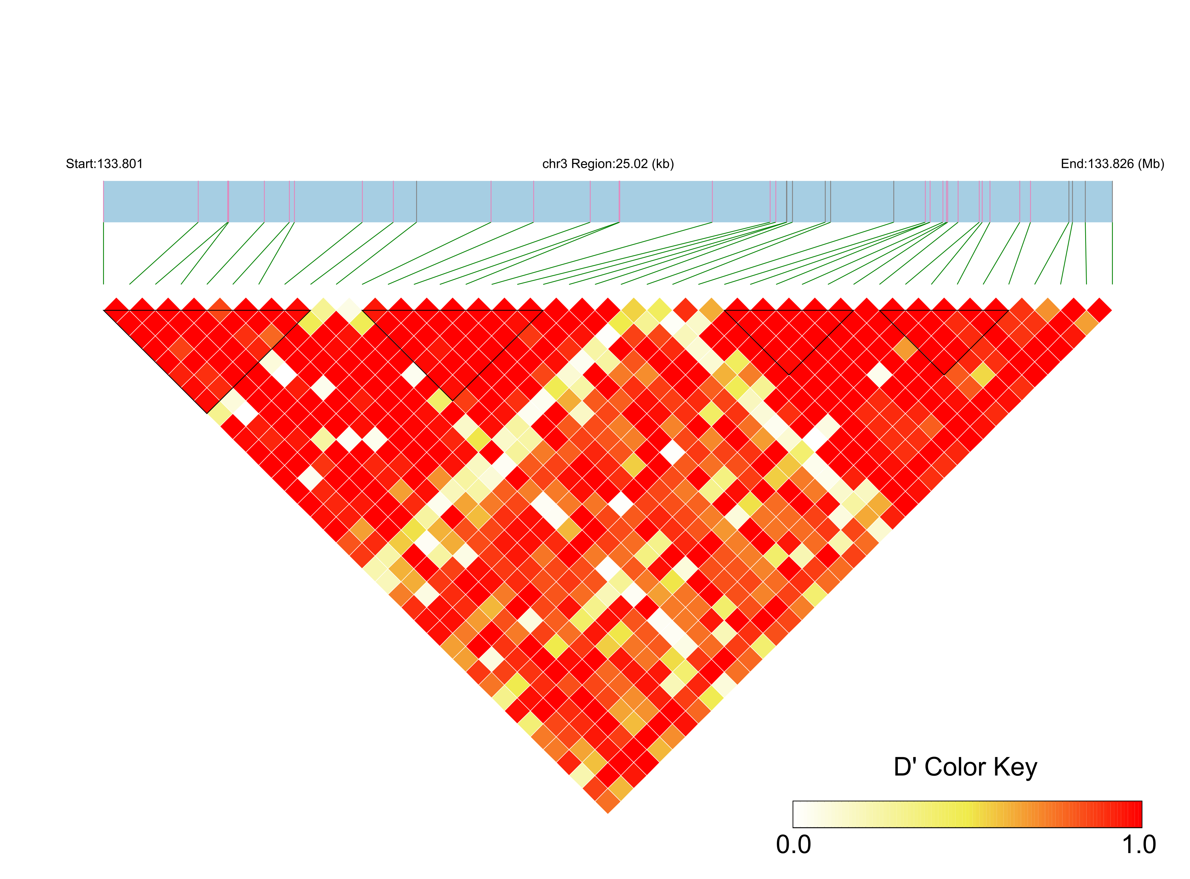 LD
