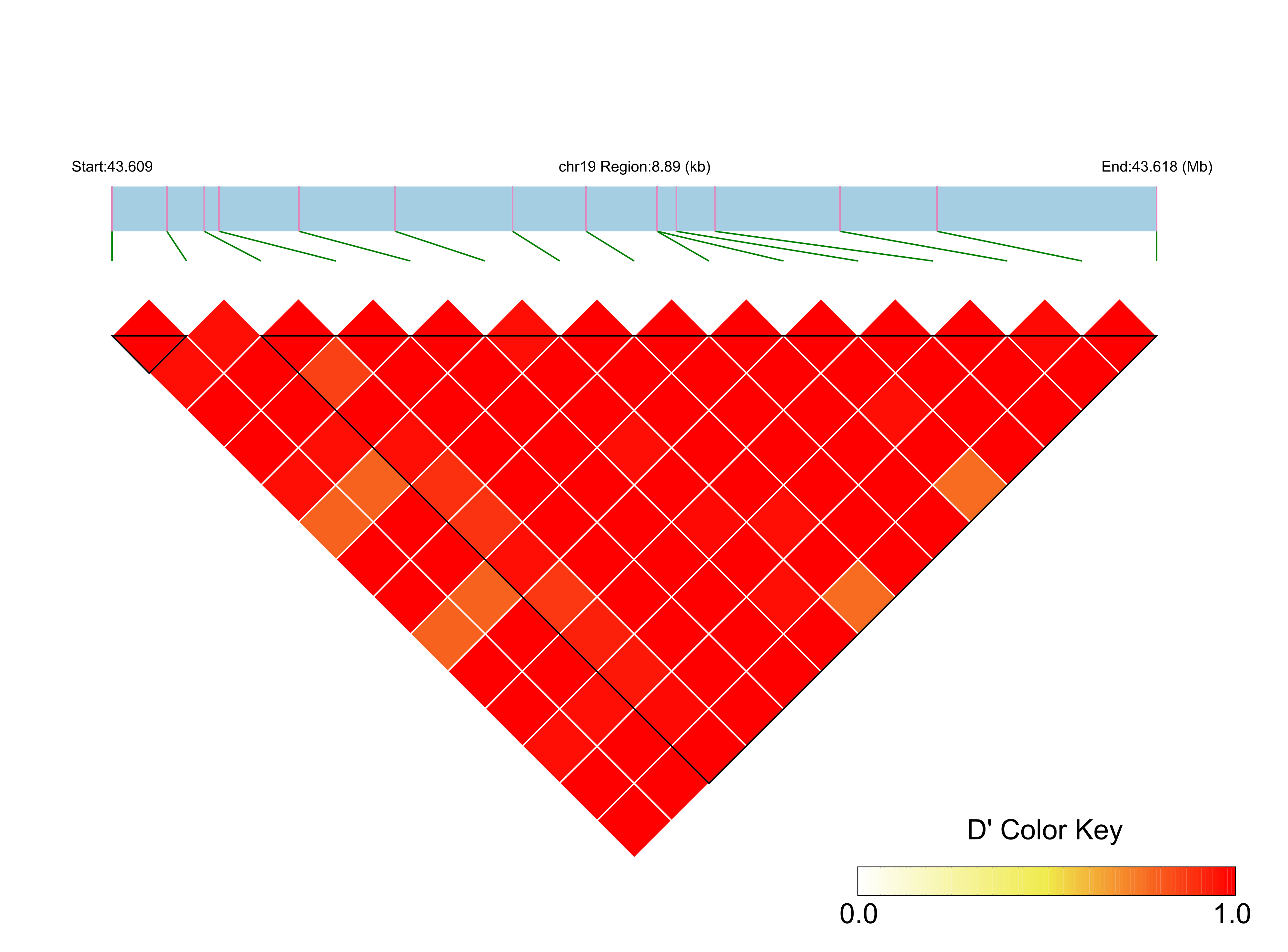LD