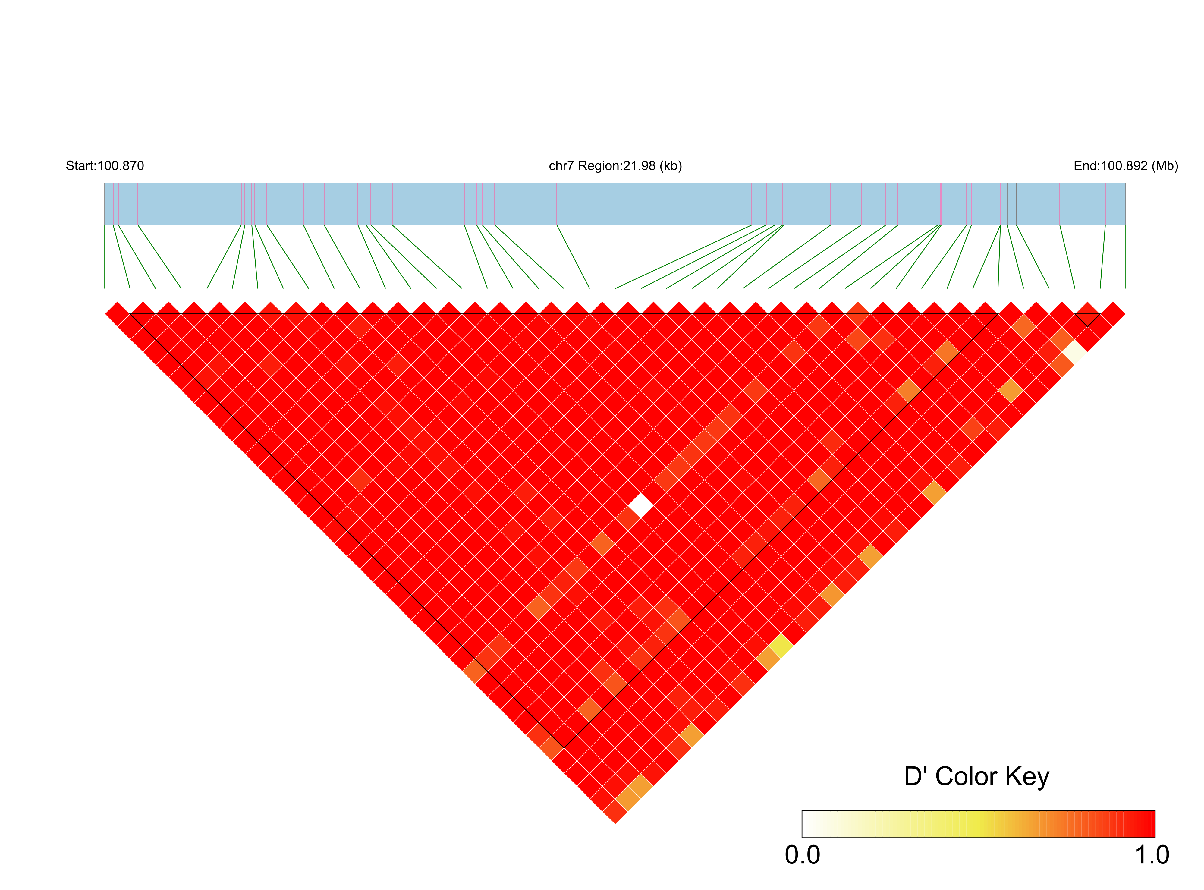 LD