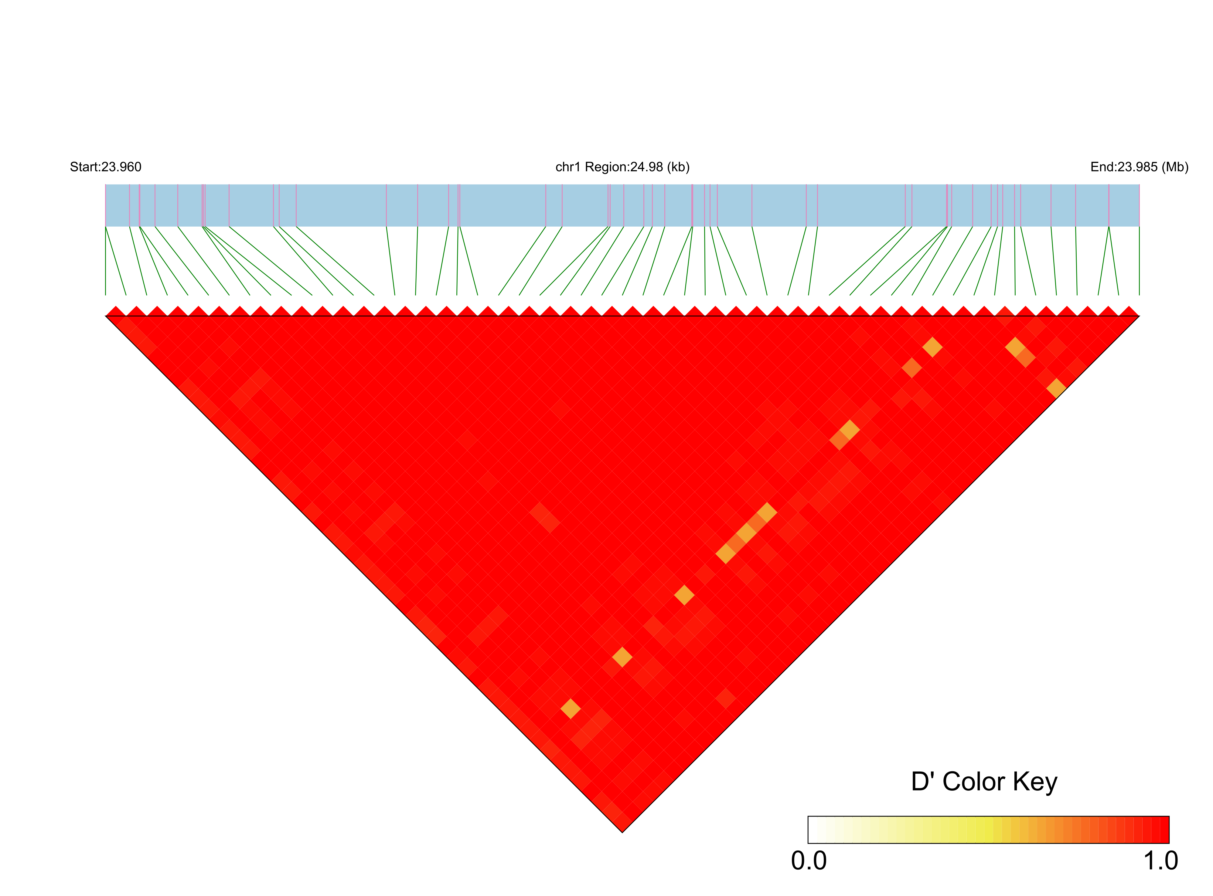 LD