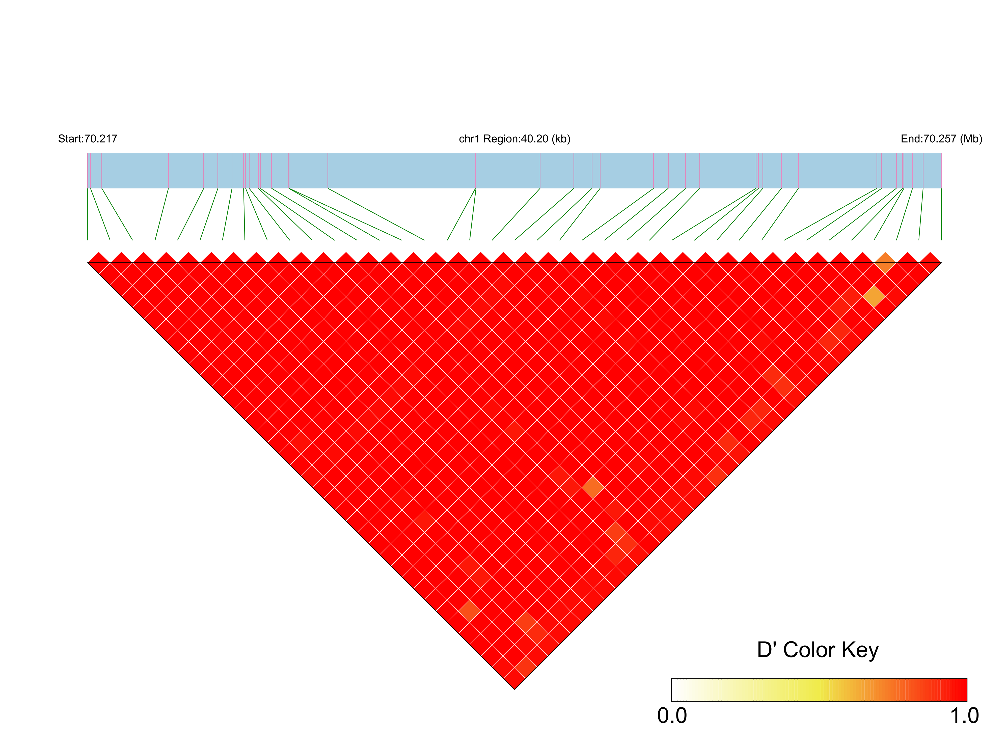 LD