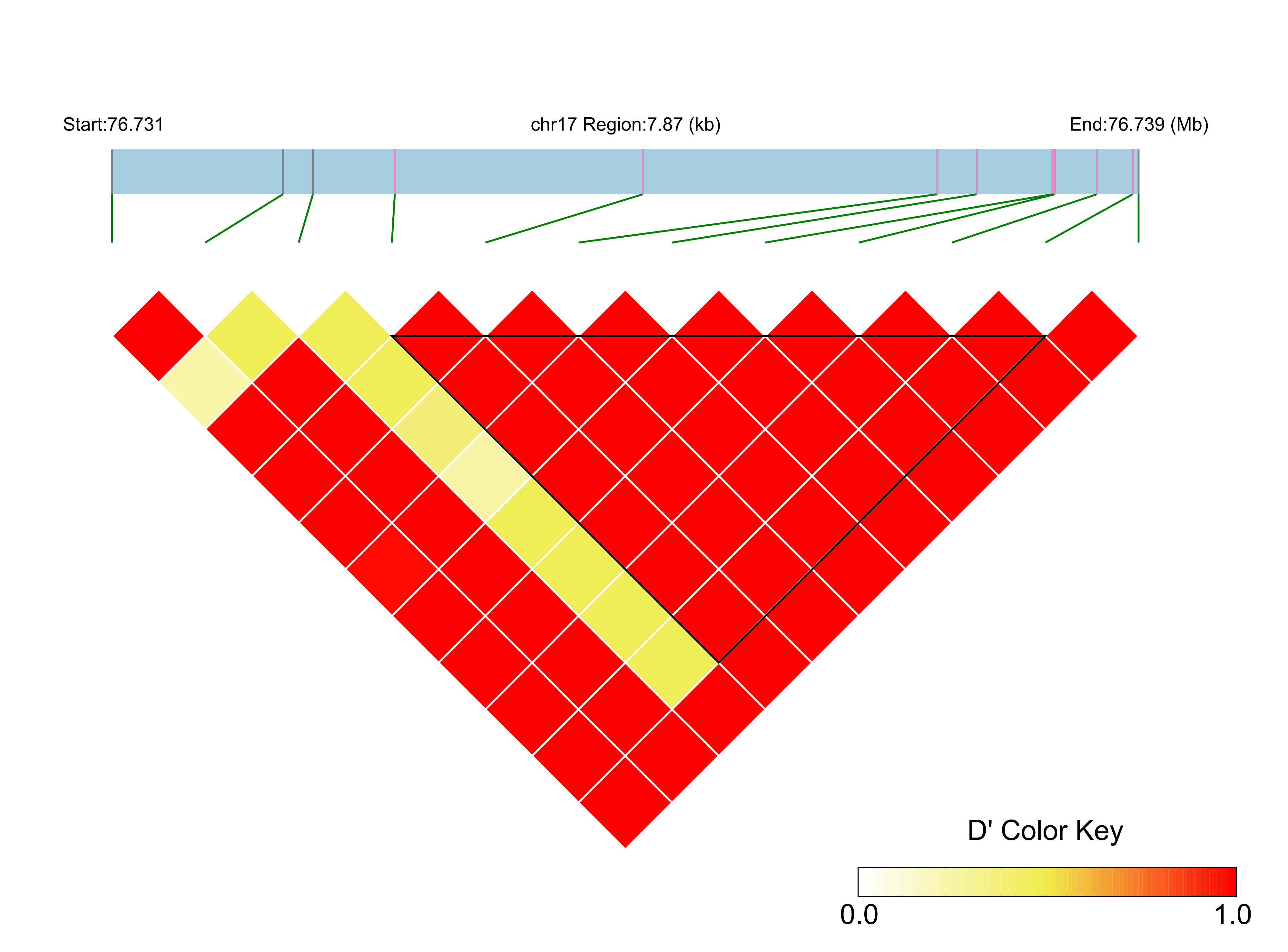LD