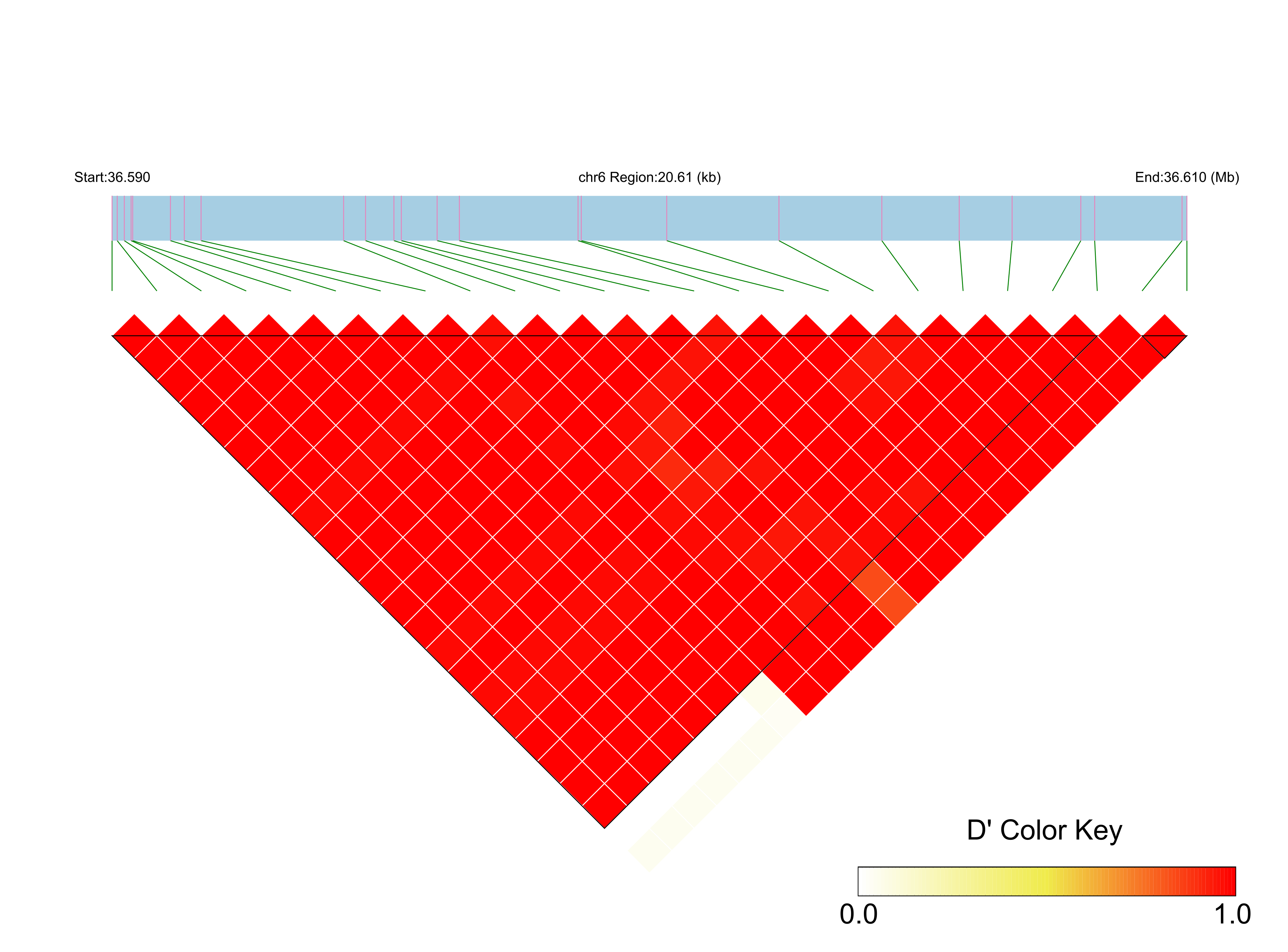 LD