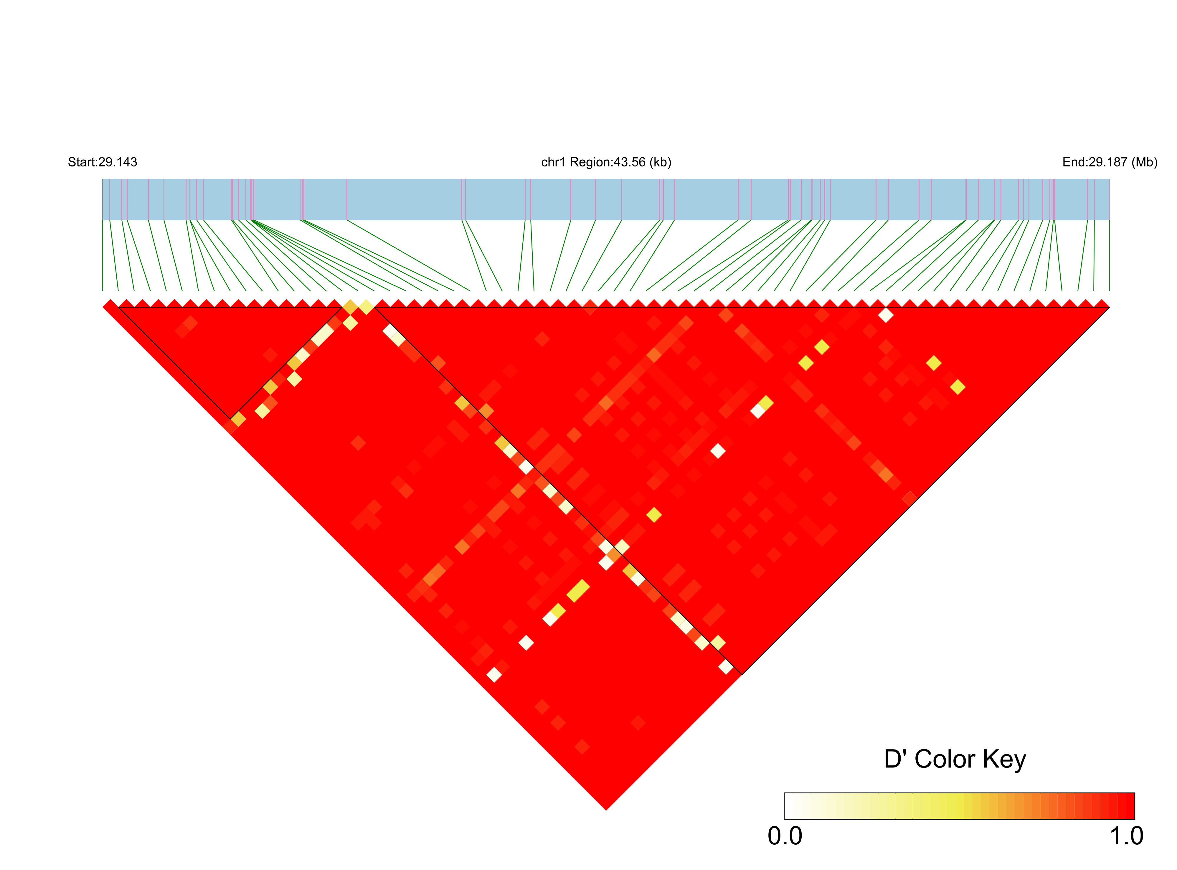 LD