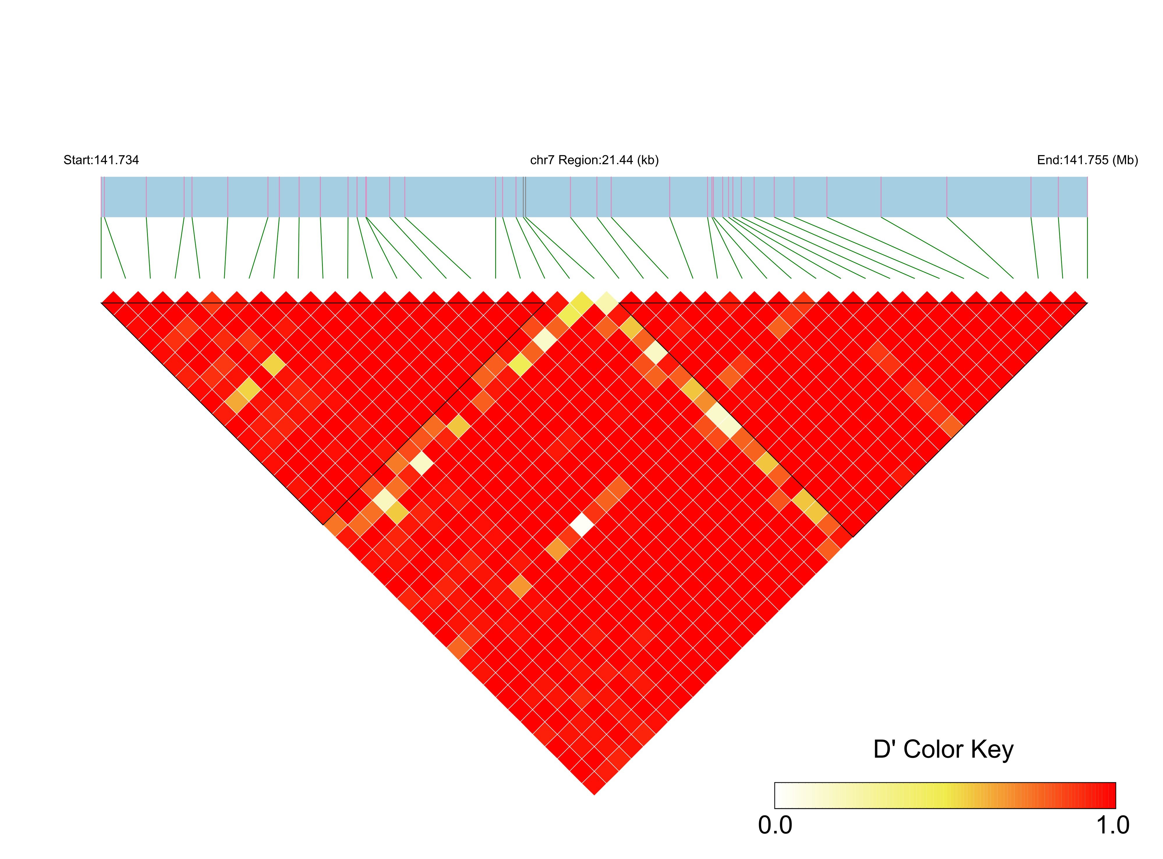 LD
