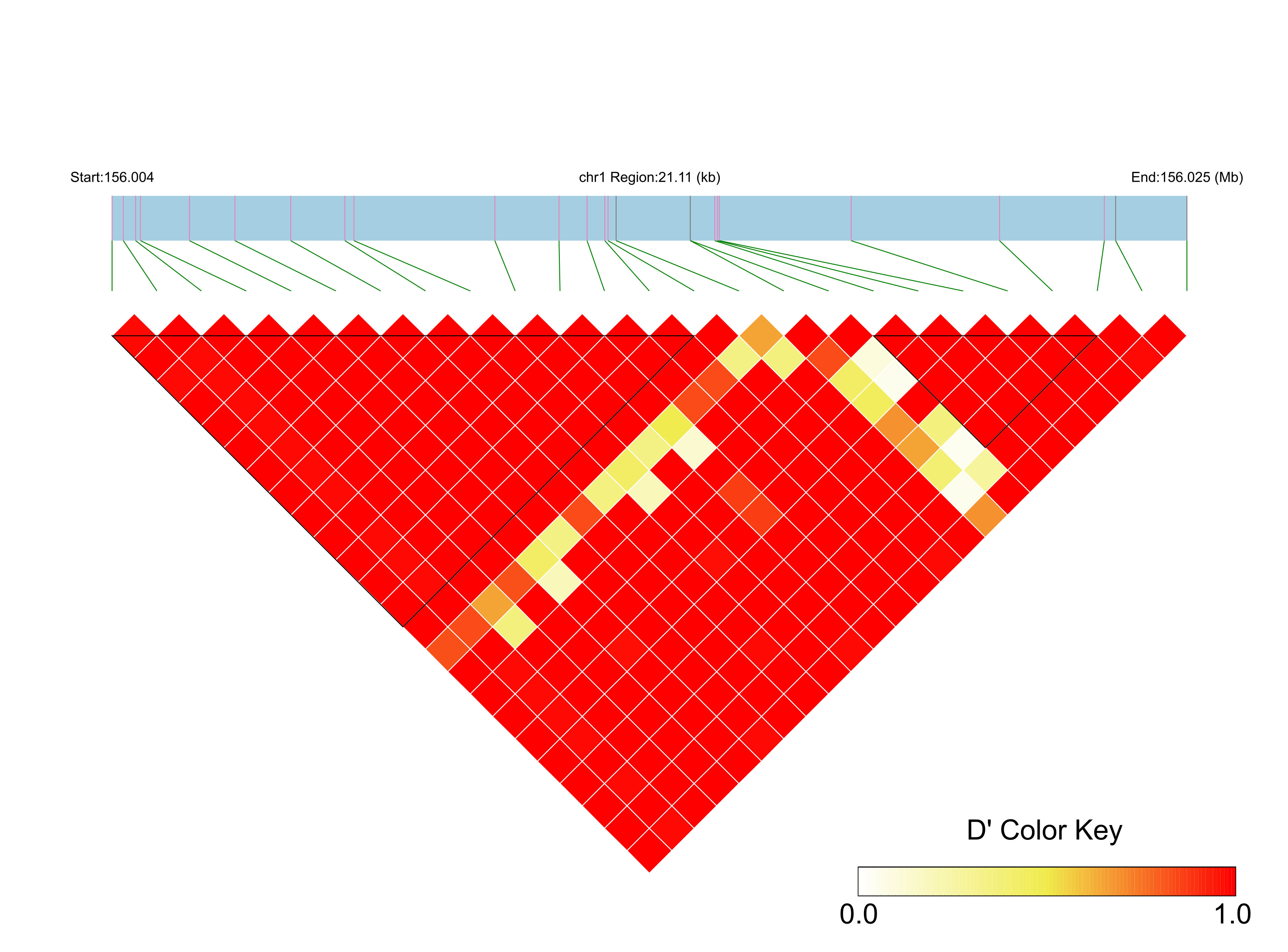 LD