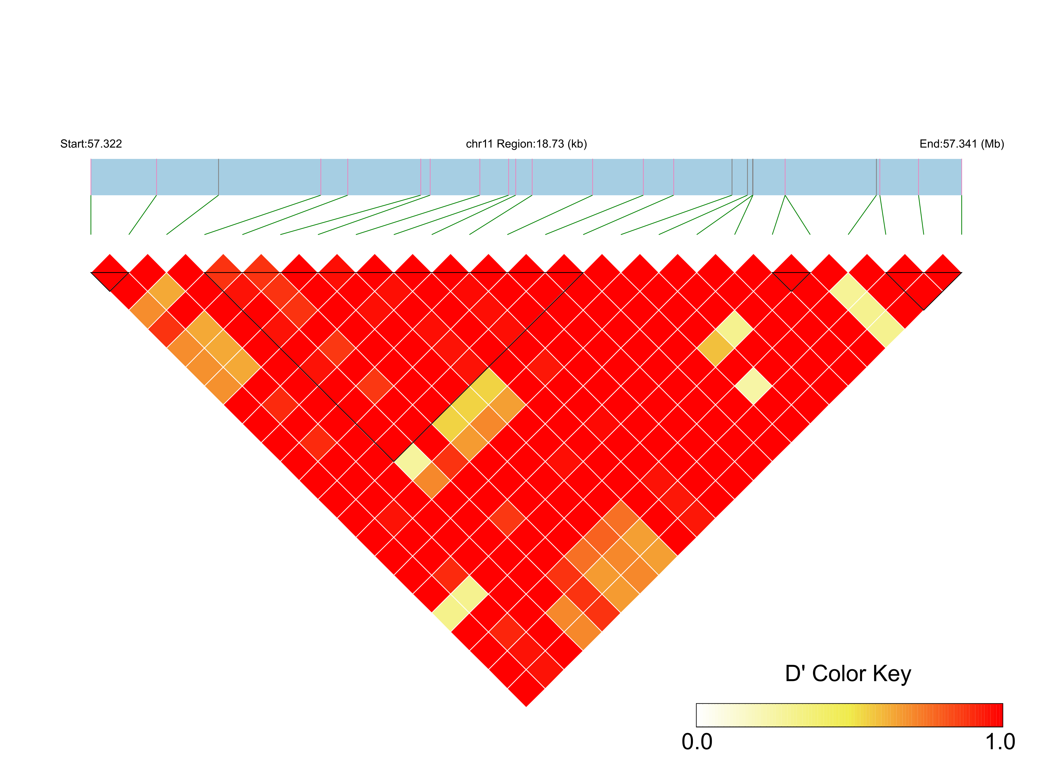 LD