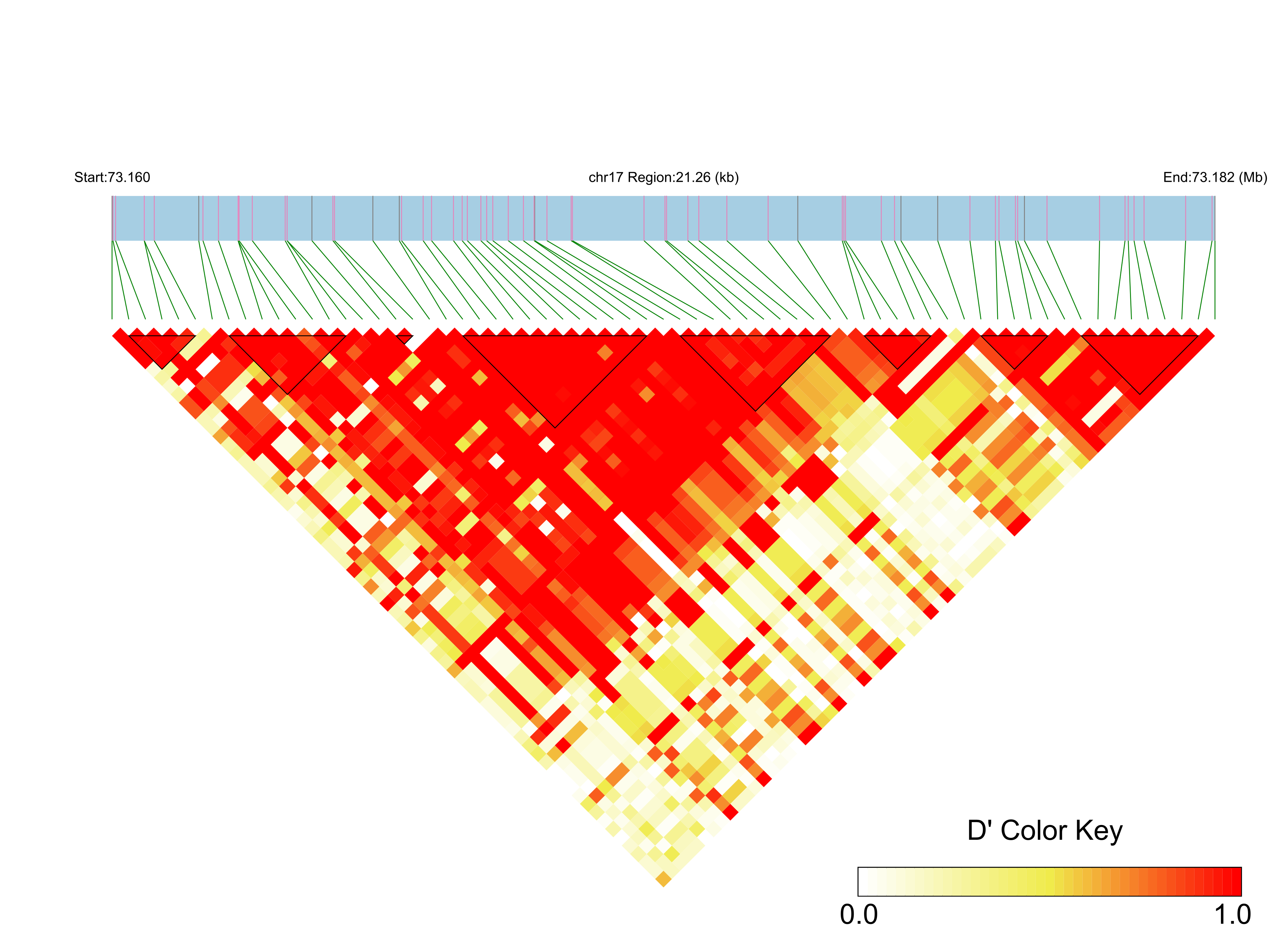 LD