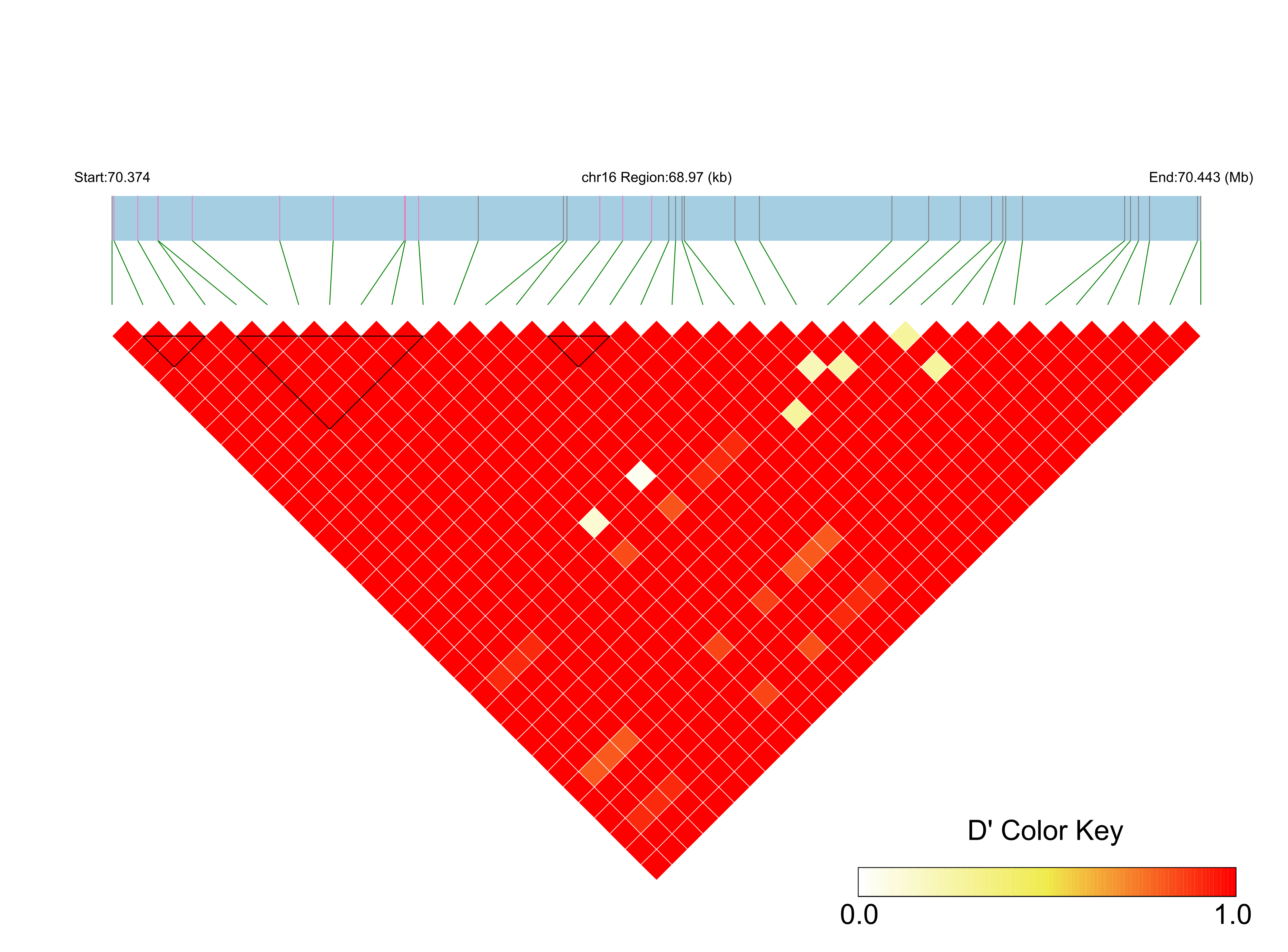 LD