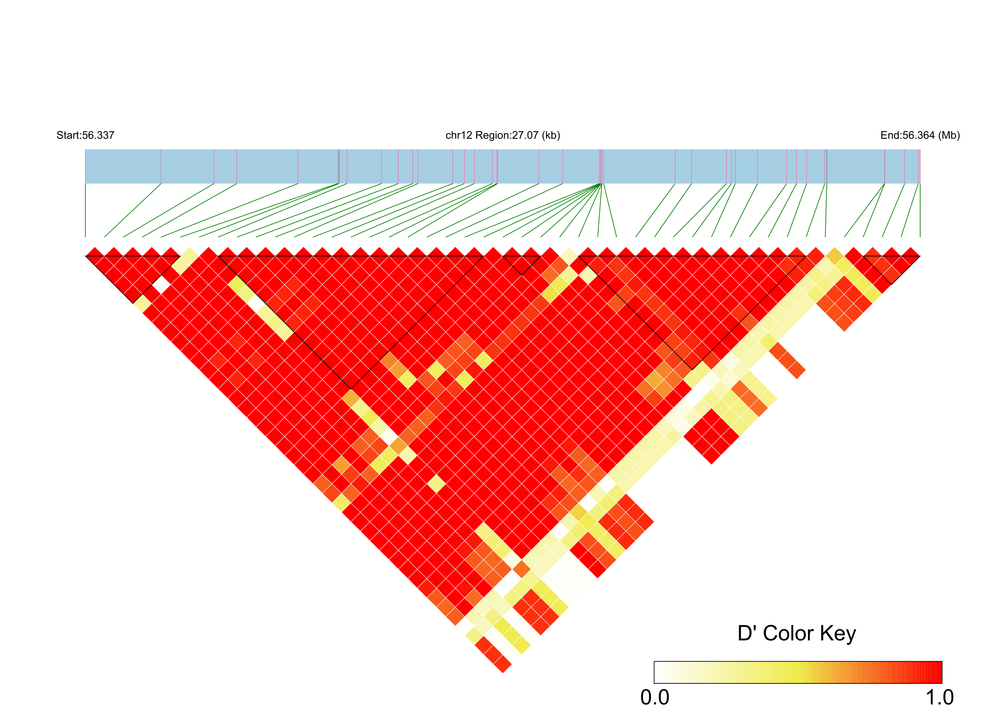LD