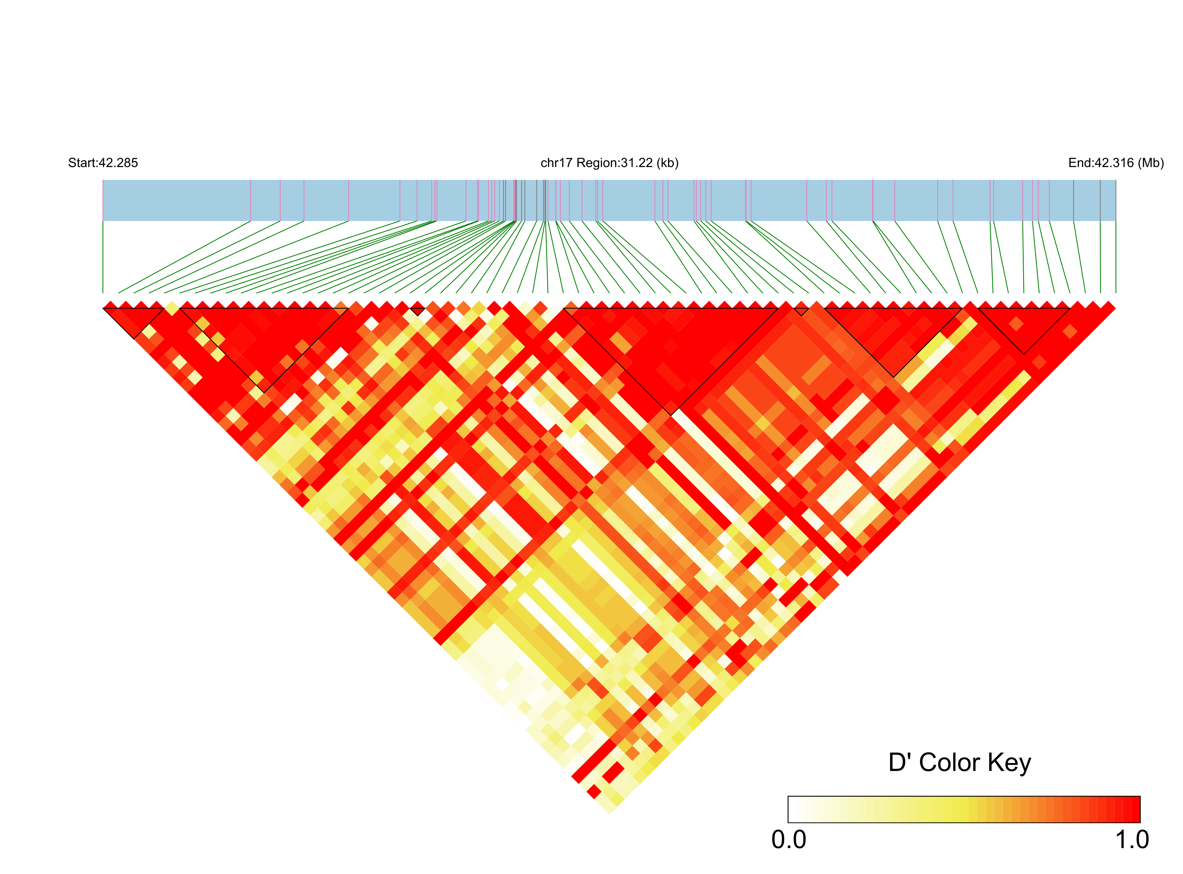 LD