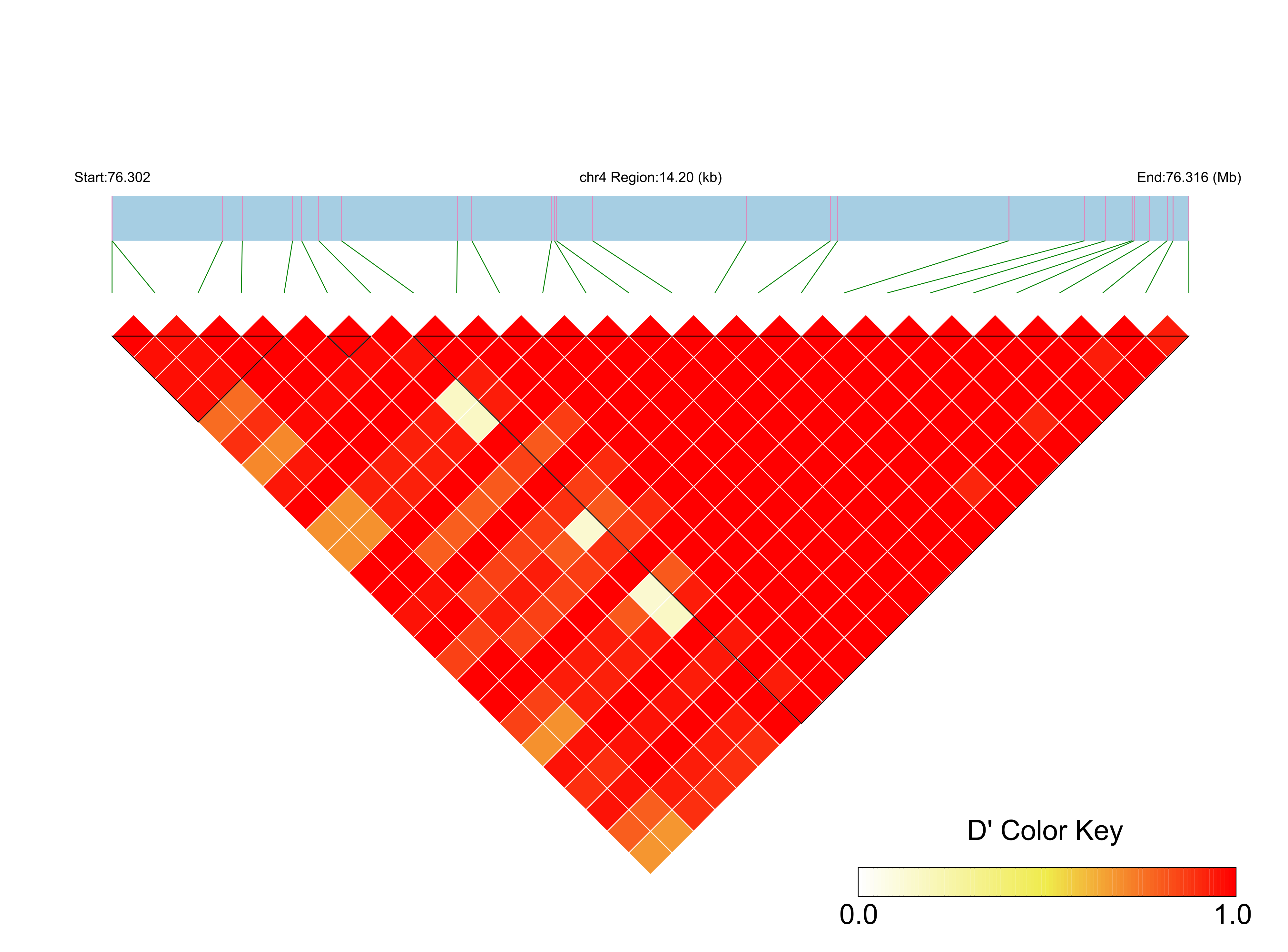 LD
