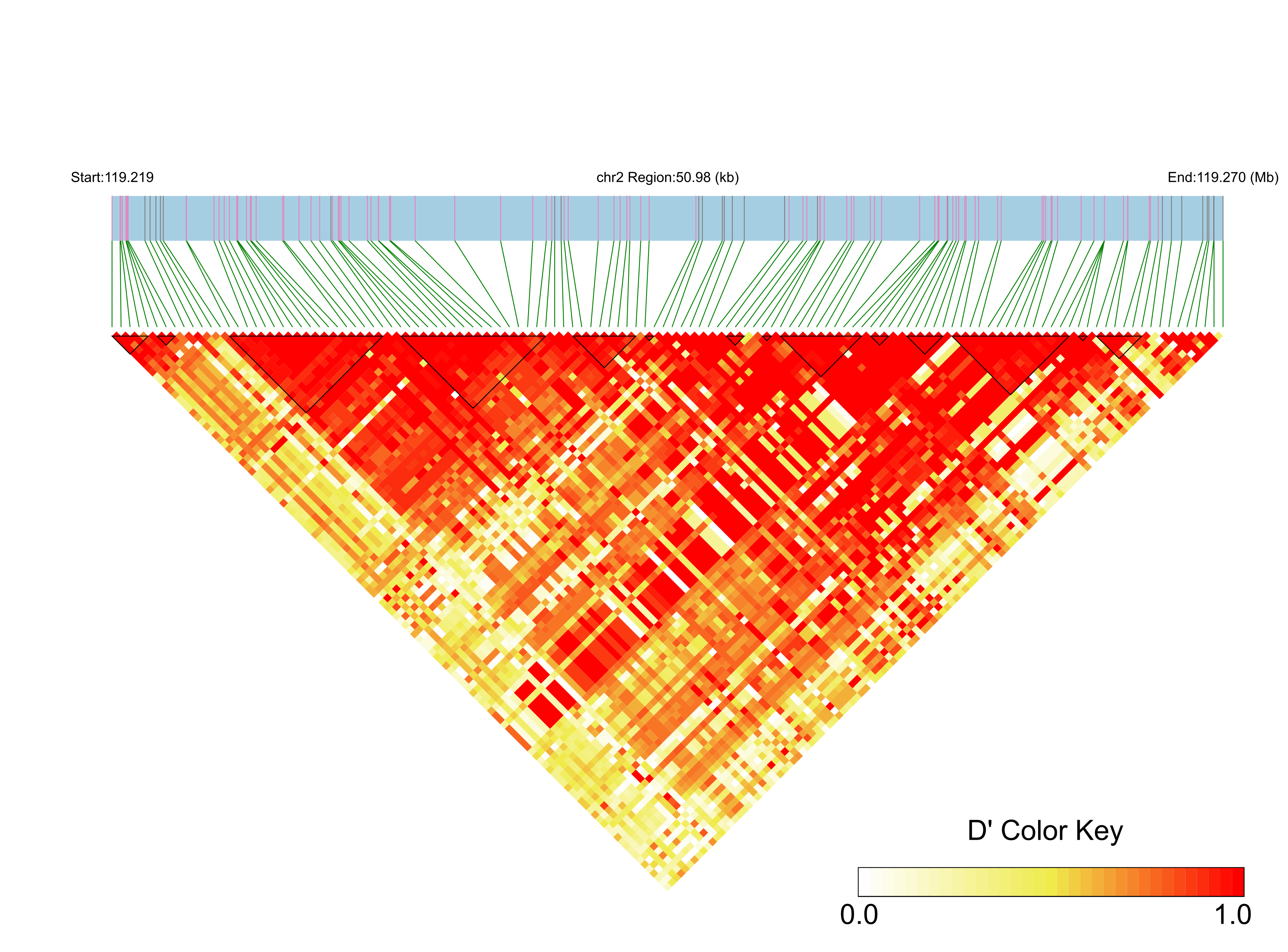 LD