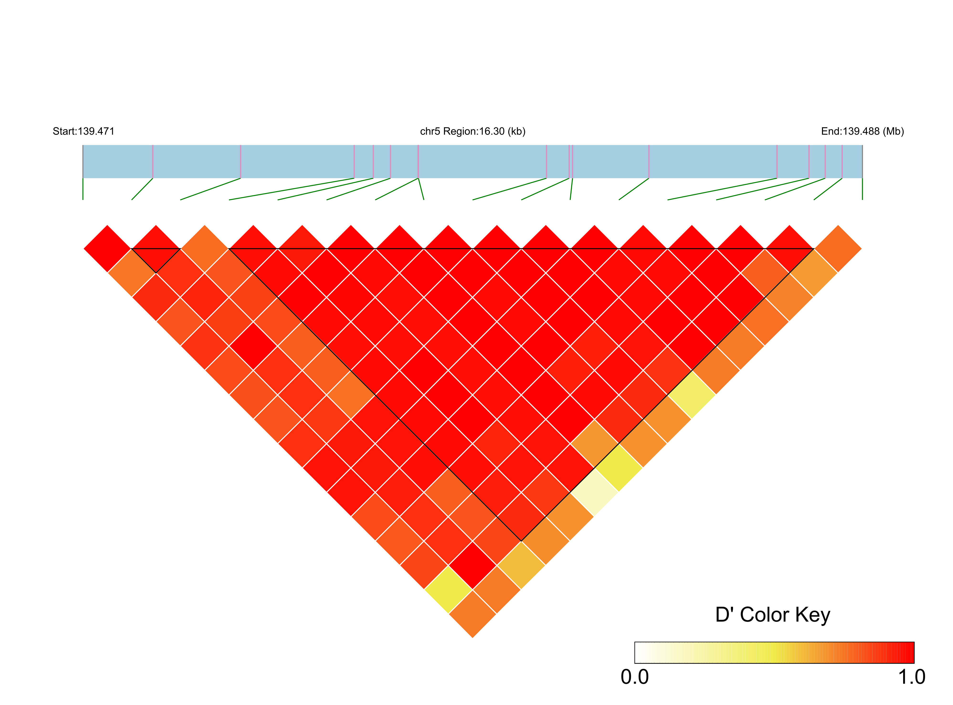 LD